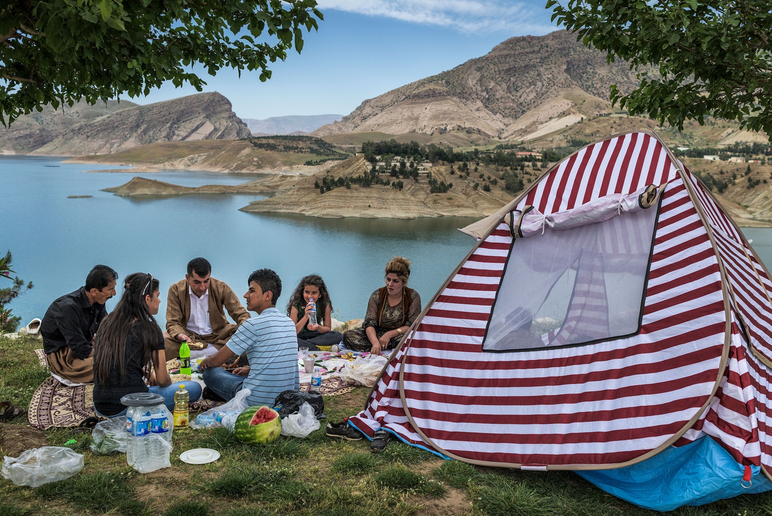 a family picnicing