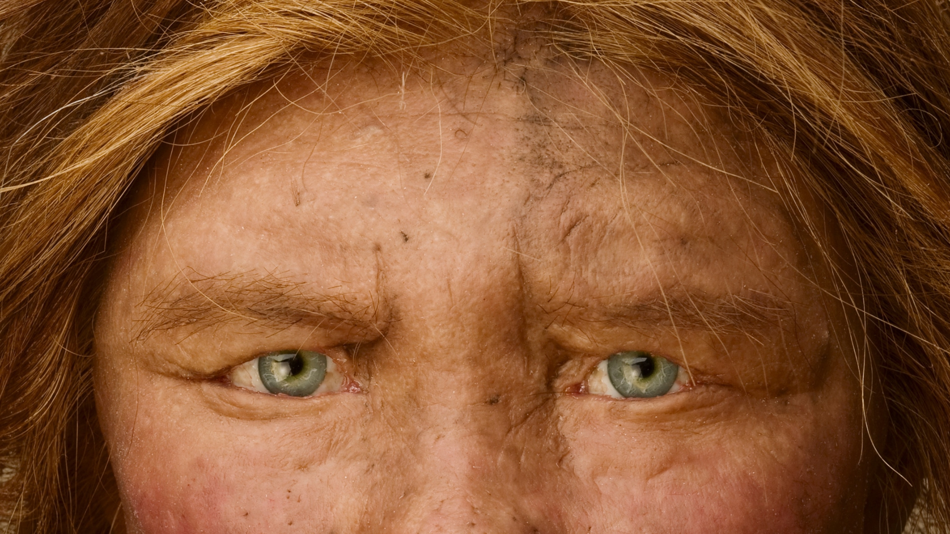a reconstruction of a Neanderthal female.