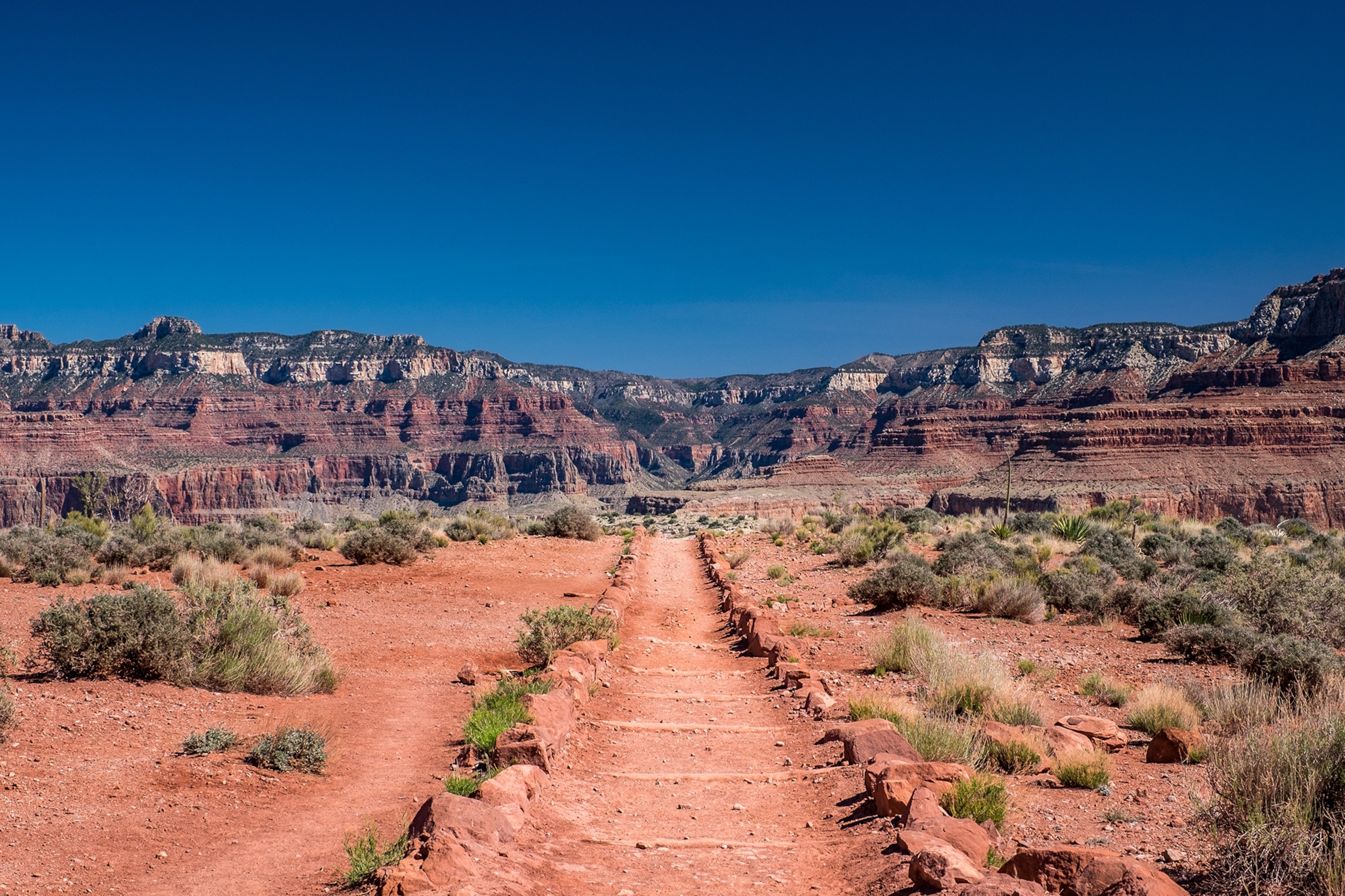 The trail in Grand Canyon National Park
