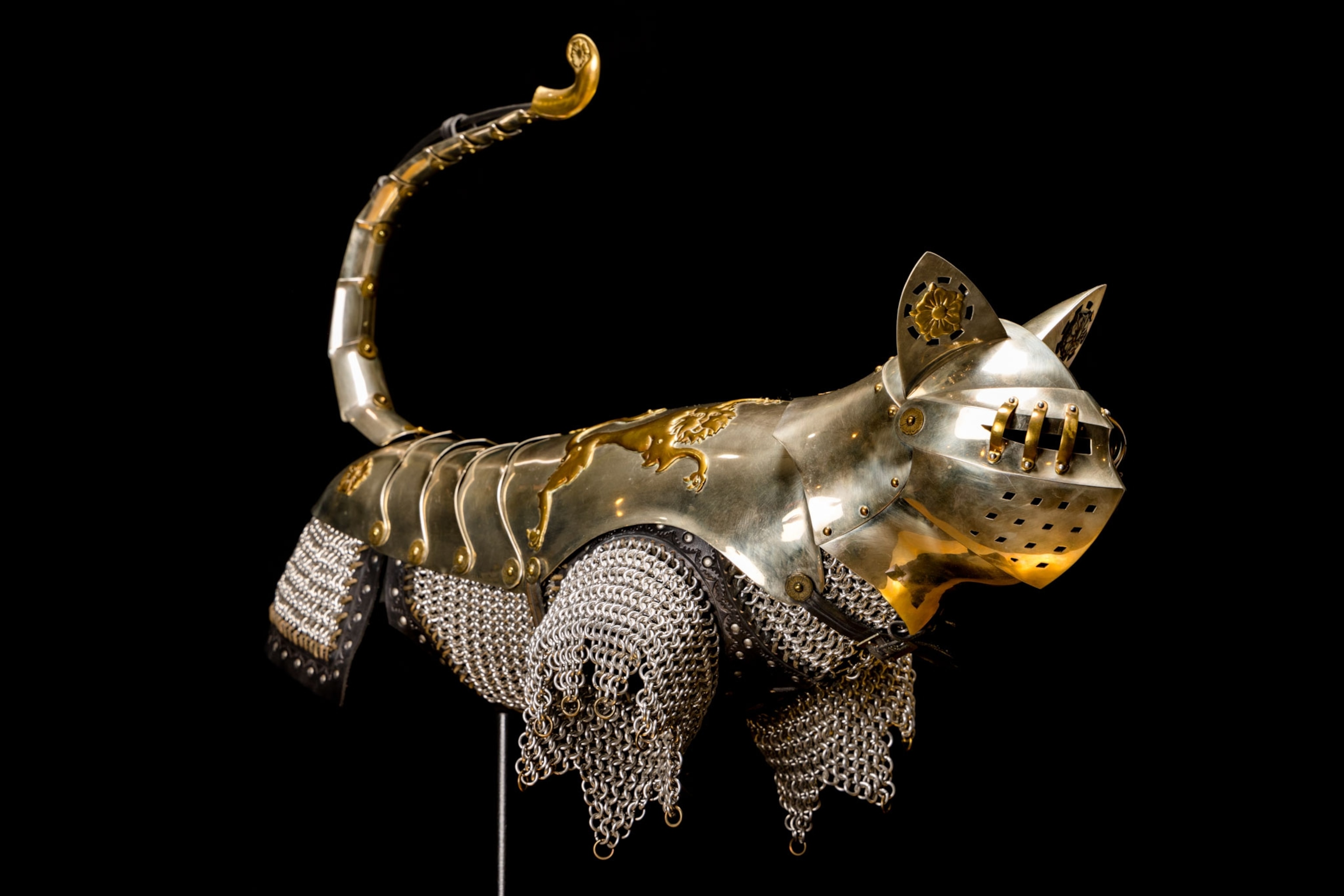 custom cat armor on display