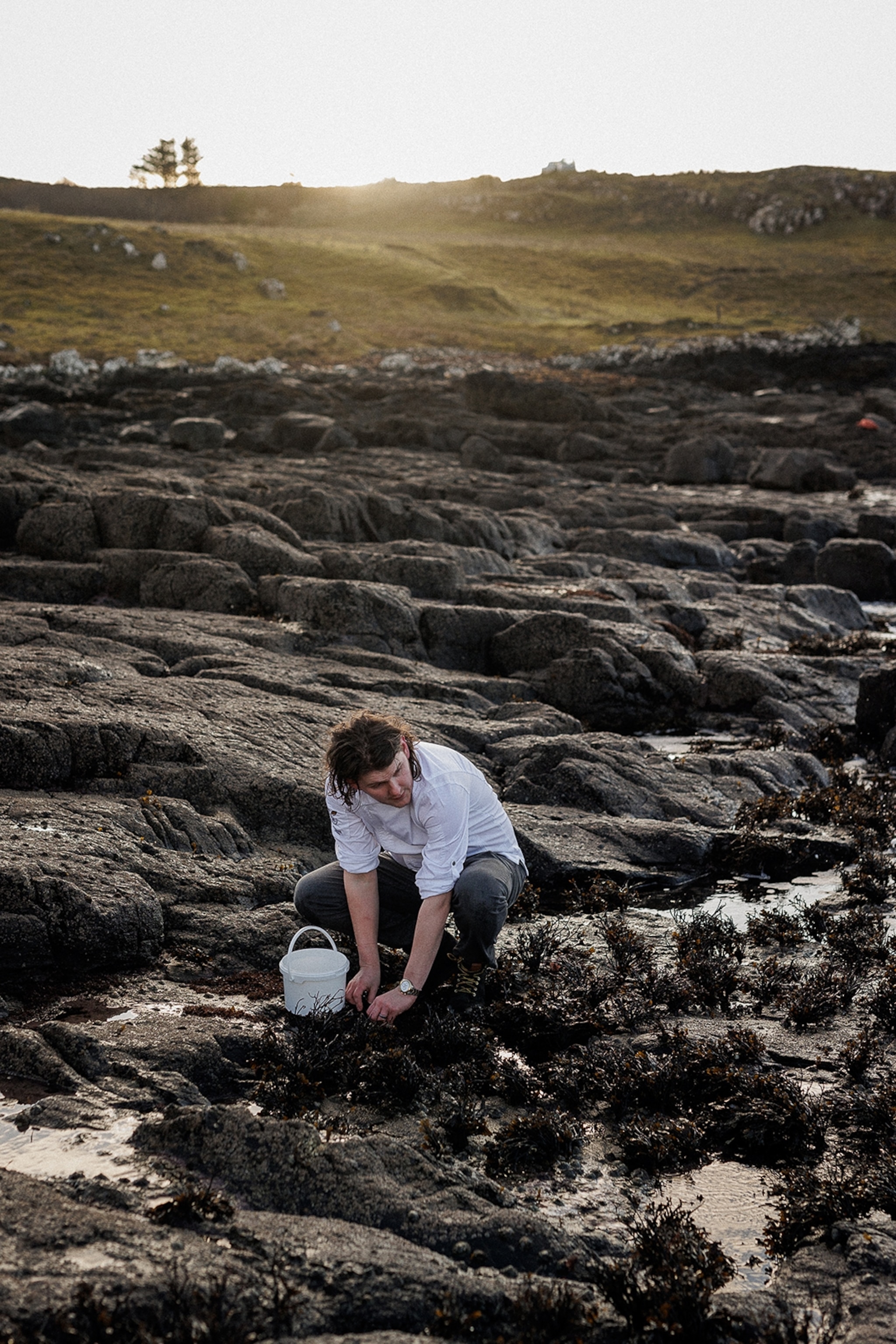 Man foraging in rockpools