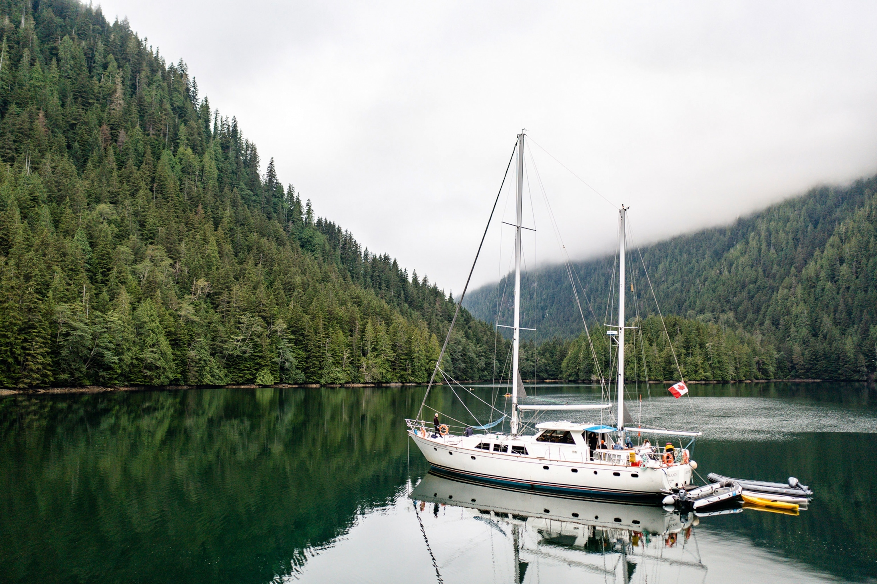 A sailboat on the water, trees lining the shore behind.