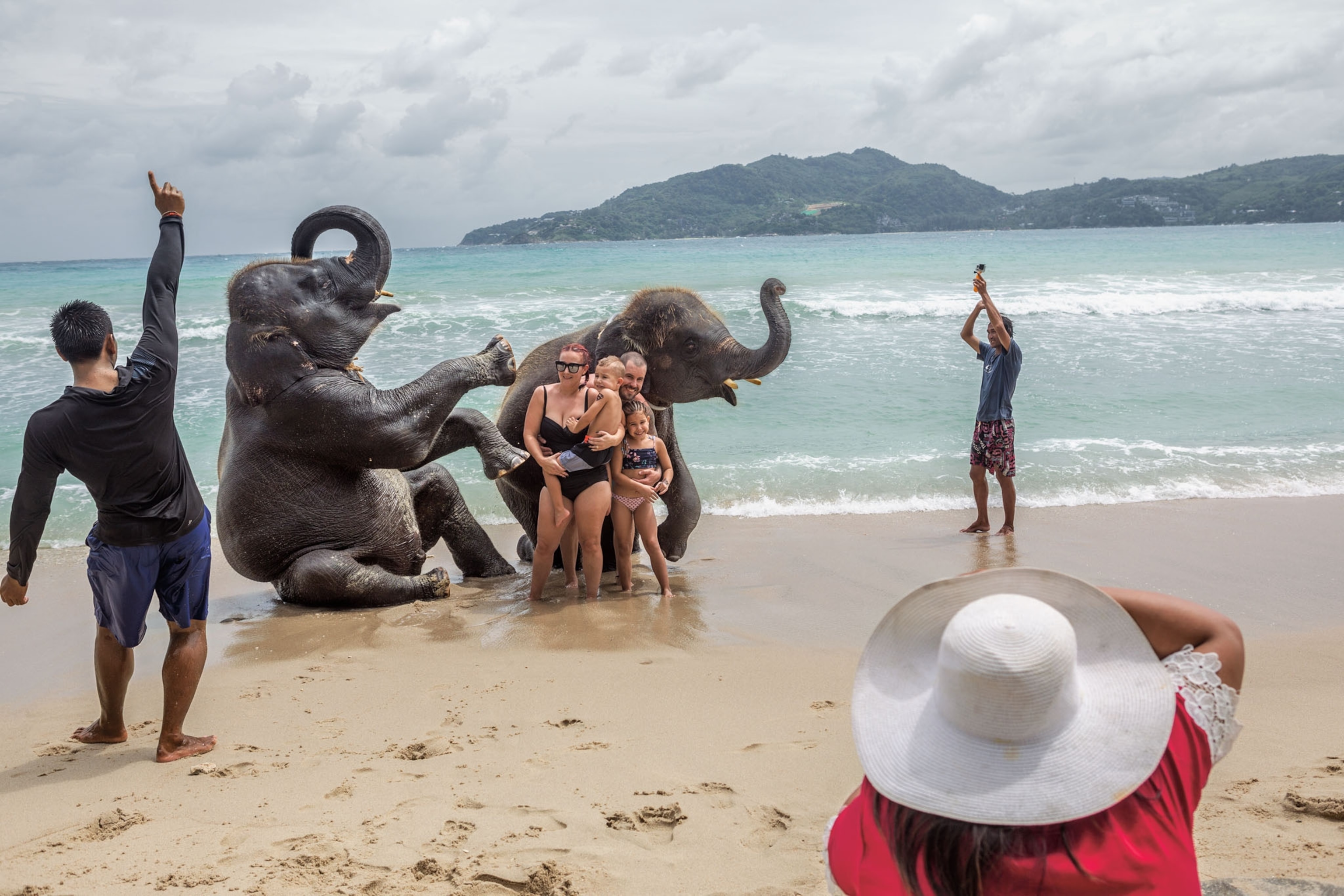 a people engaging with elephants for tourism