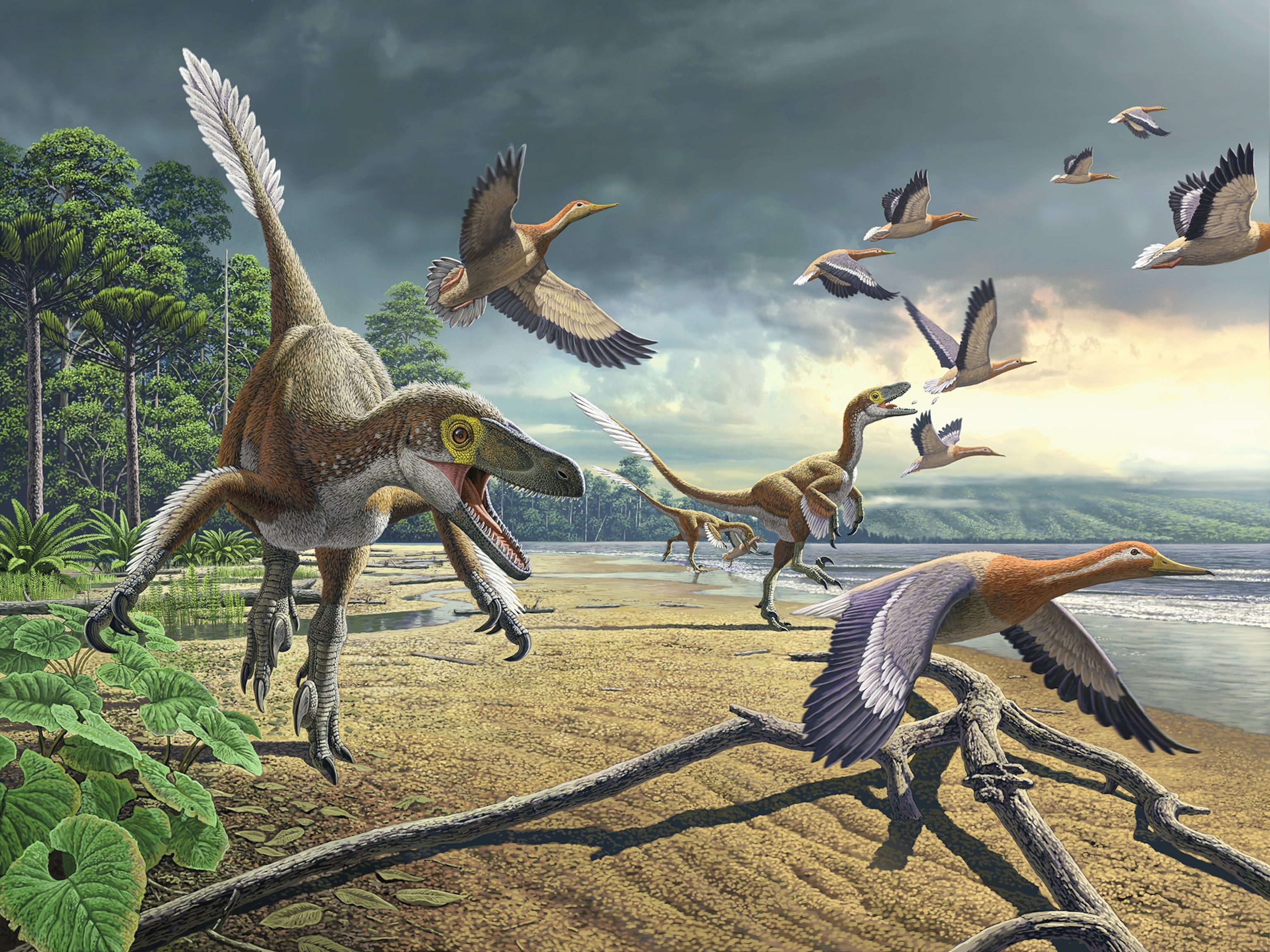Art of Vegavis iaai eating duck relatives in Antarctica