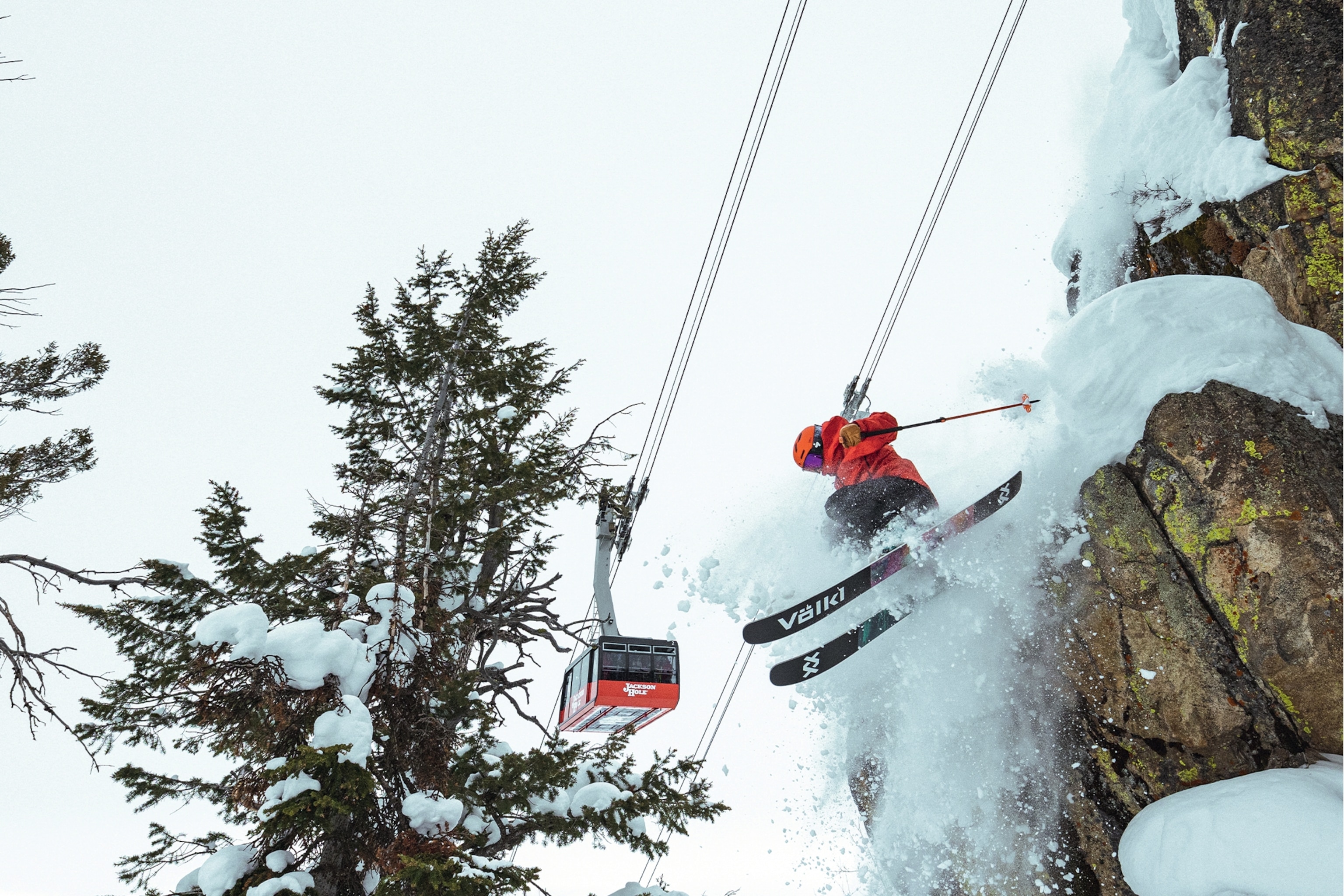 Skier