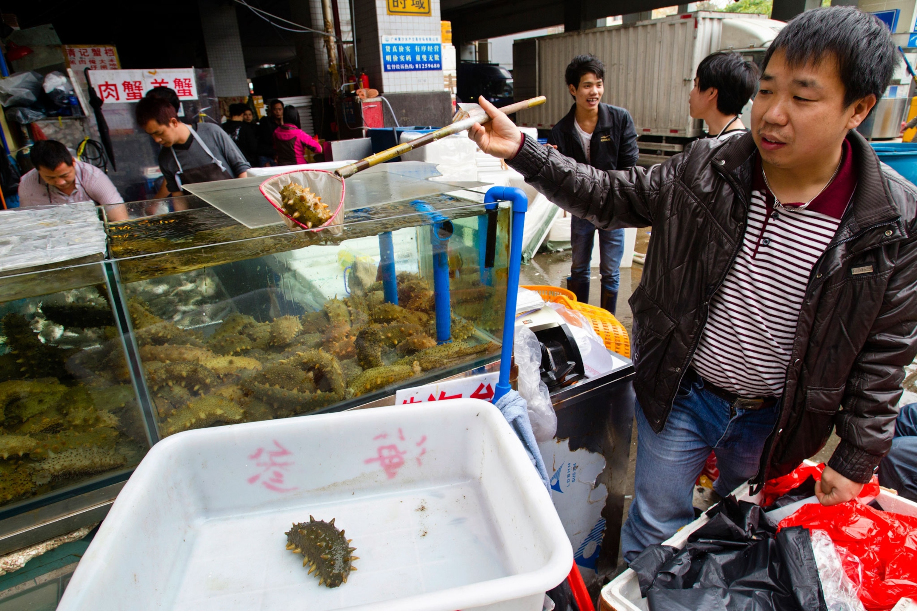 a man selling sea cucumbers in China