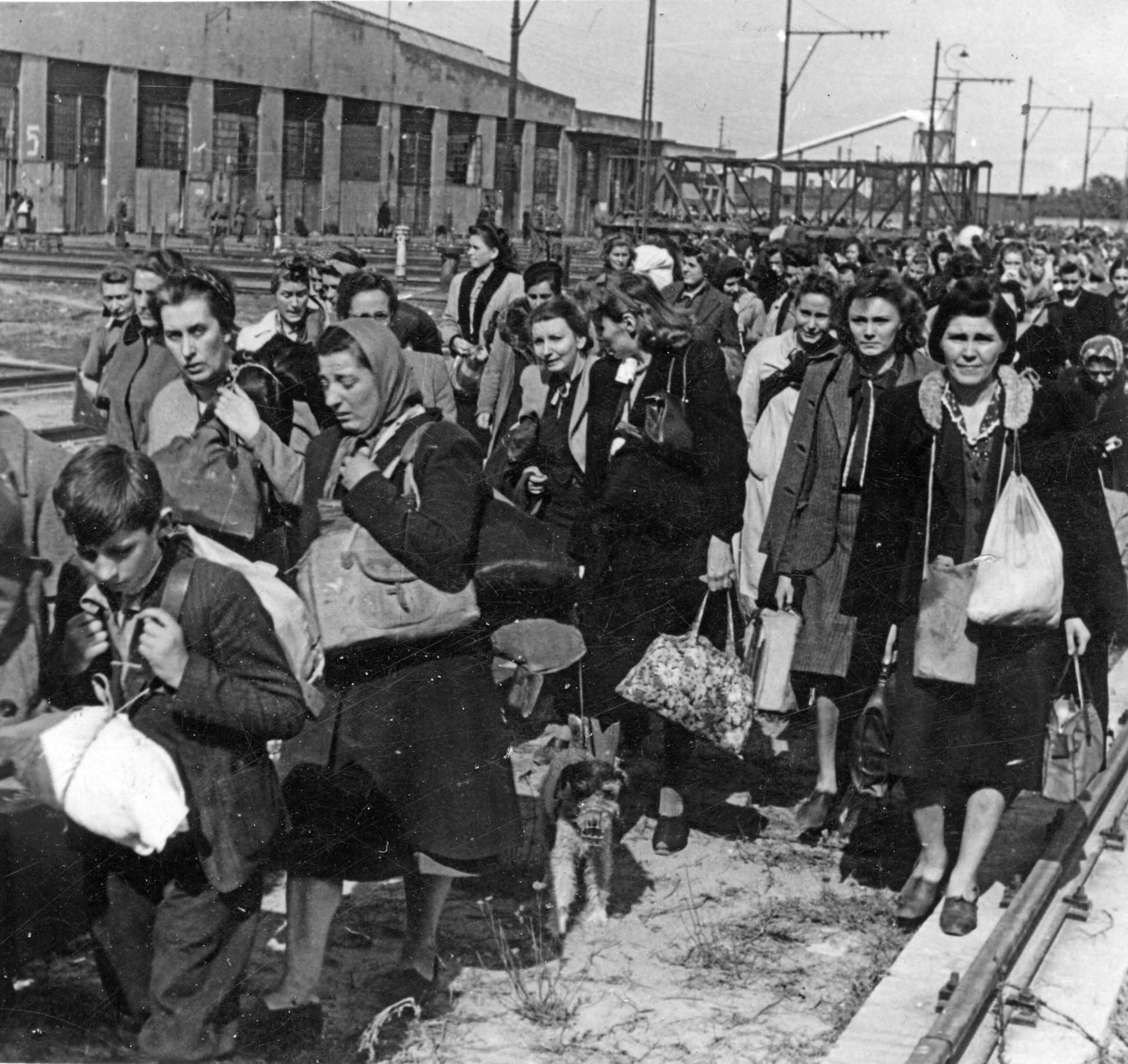 women and children in masses outside