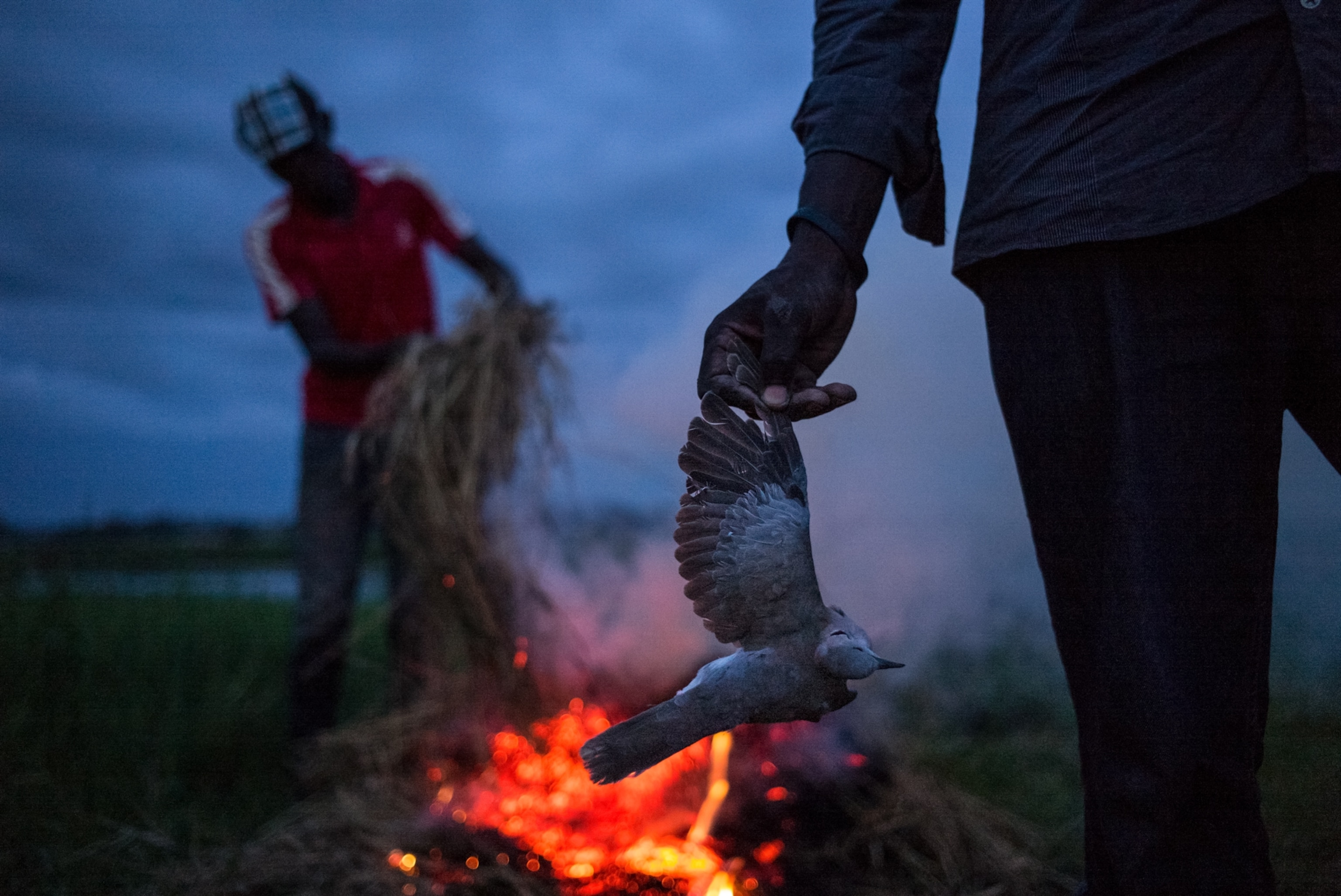 two men burning birds in dusk.