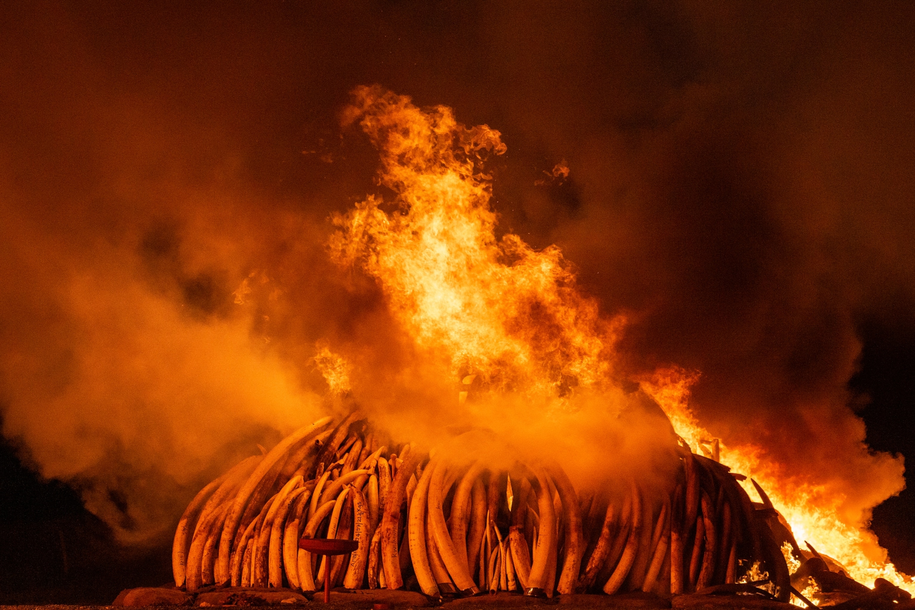 burning tasks