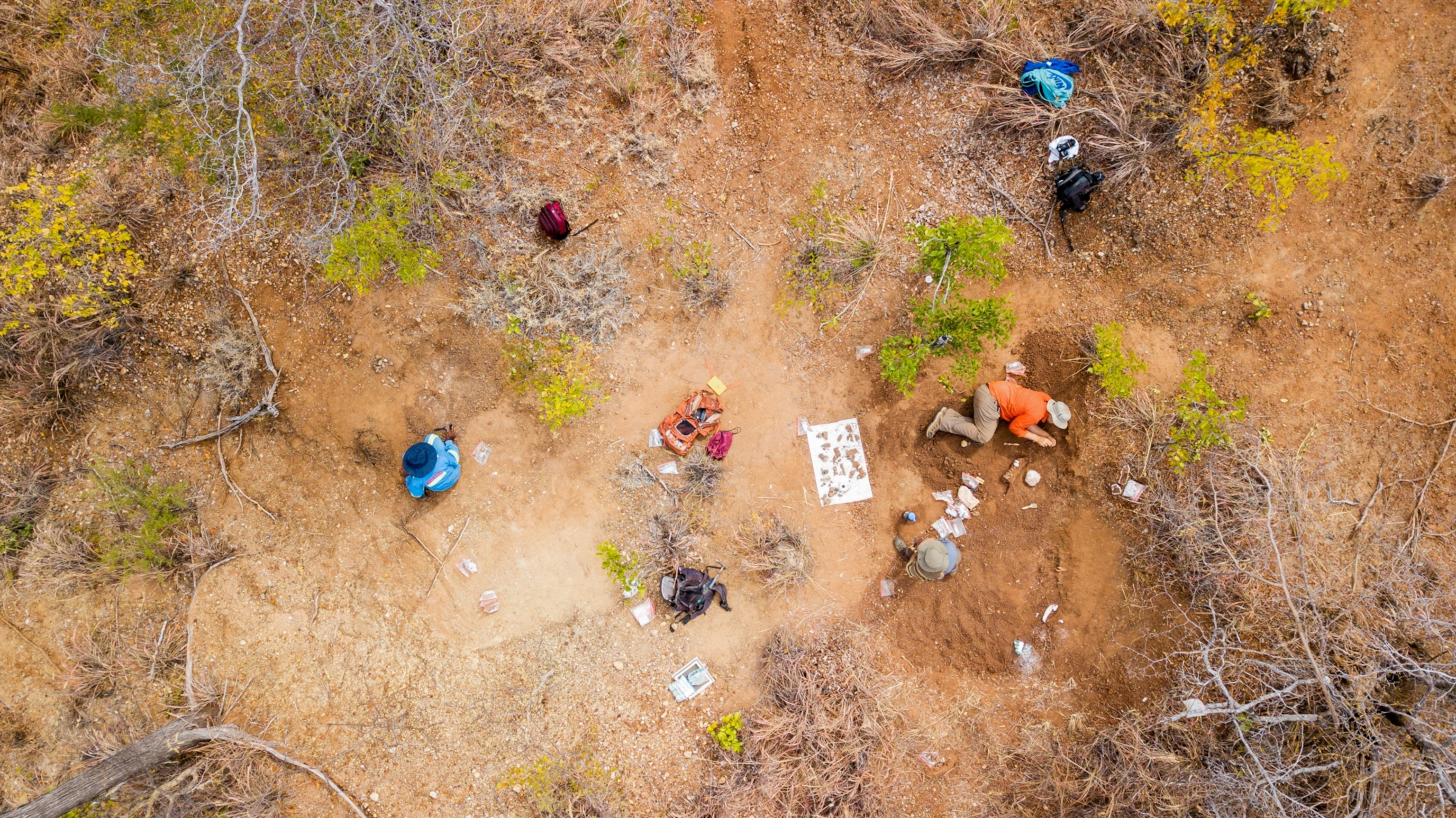 Sterling Nesbitt and Kudzie Madzana excavating as seen from a drone.
