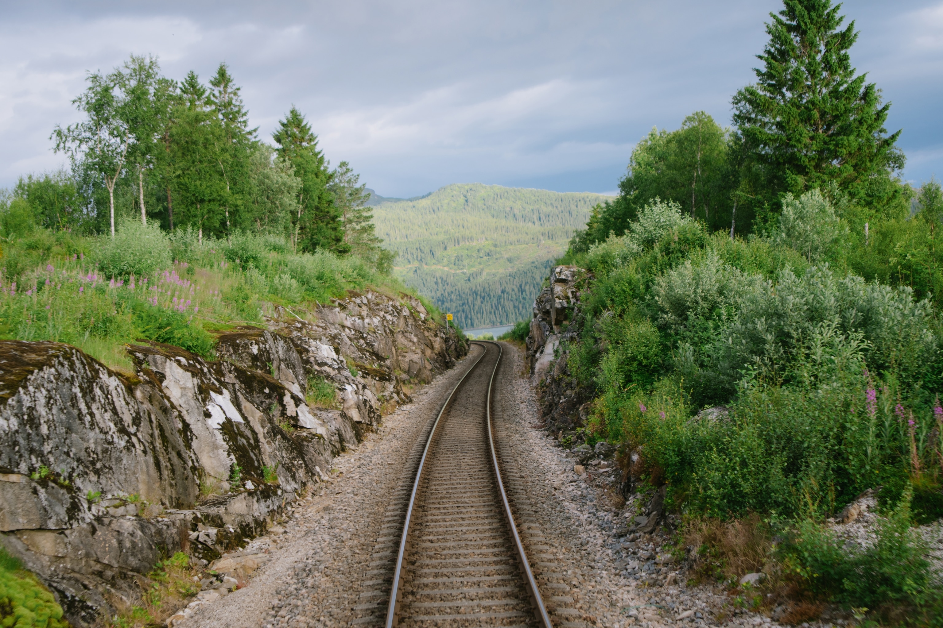 rail tracks