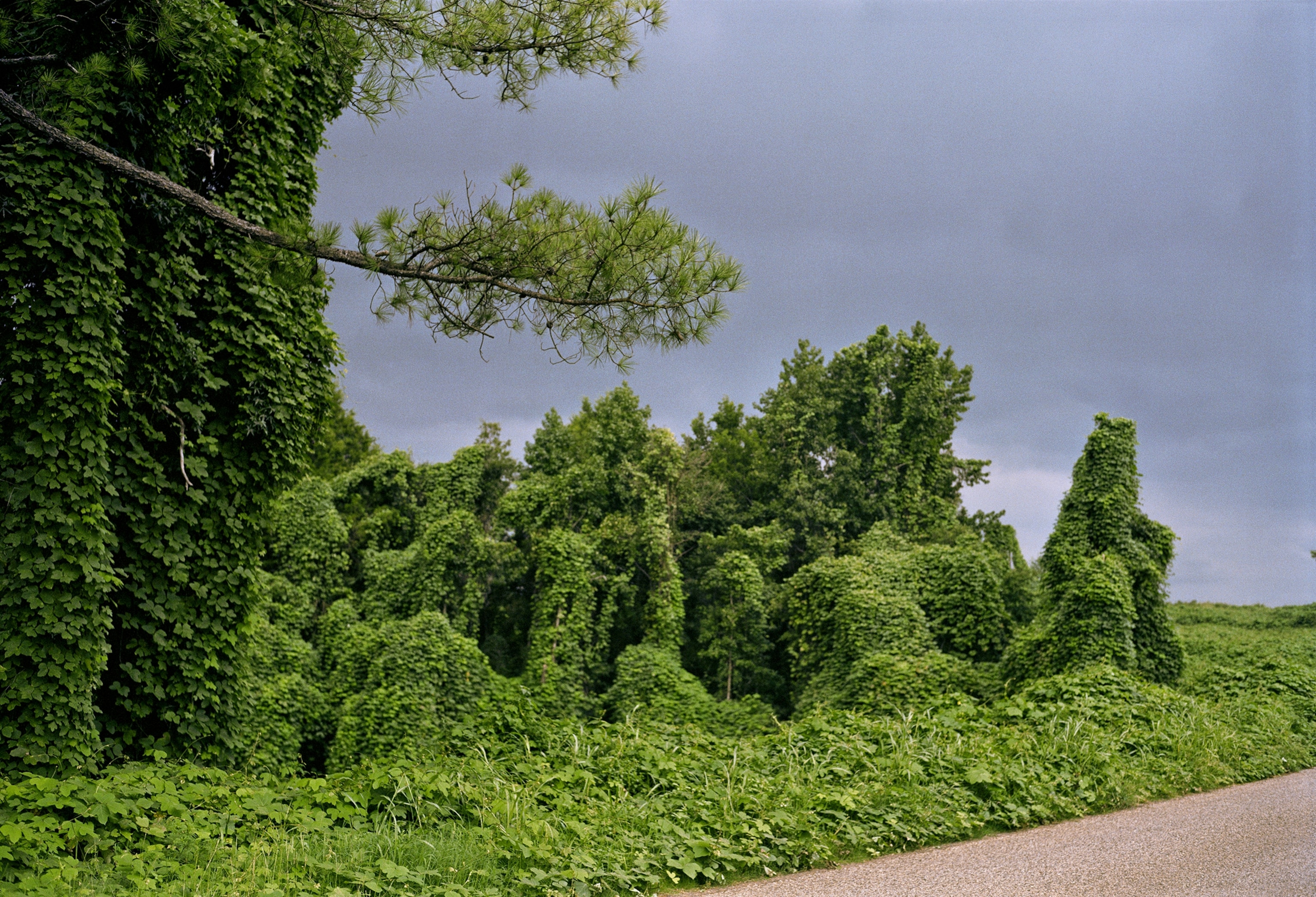 Akron, Alabama