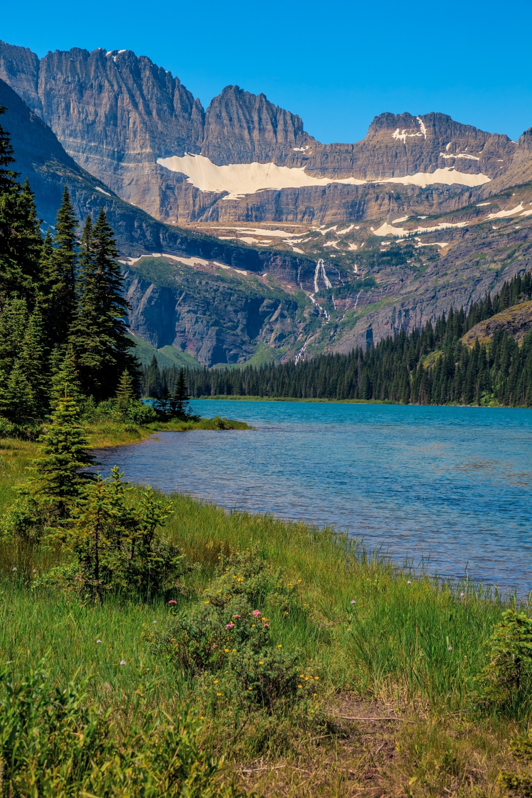Glaciers can be seen in the distance in front of a large lake and trees.