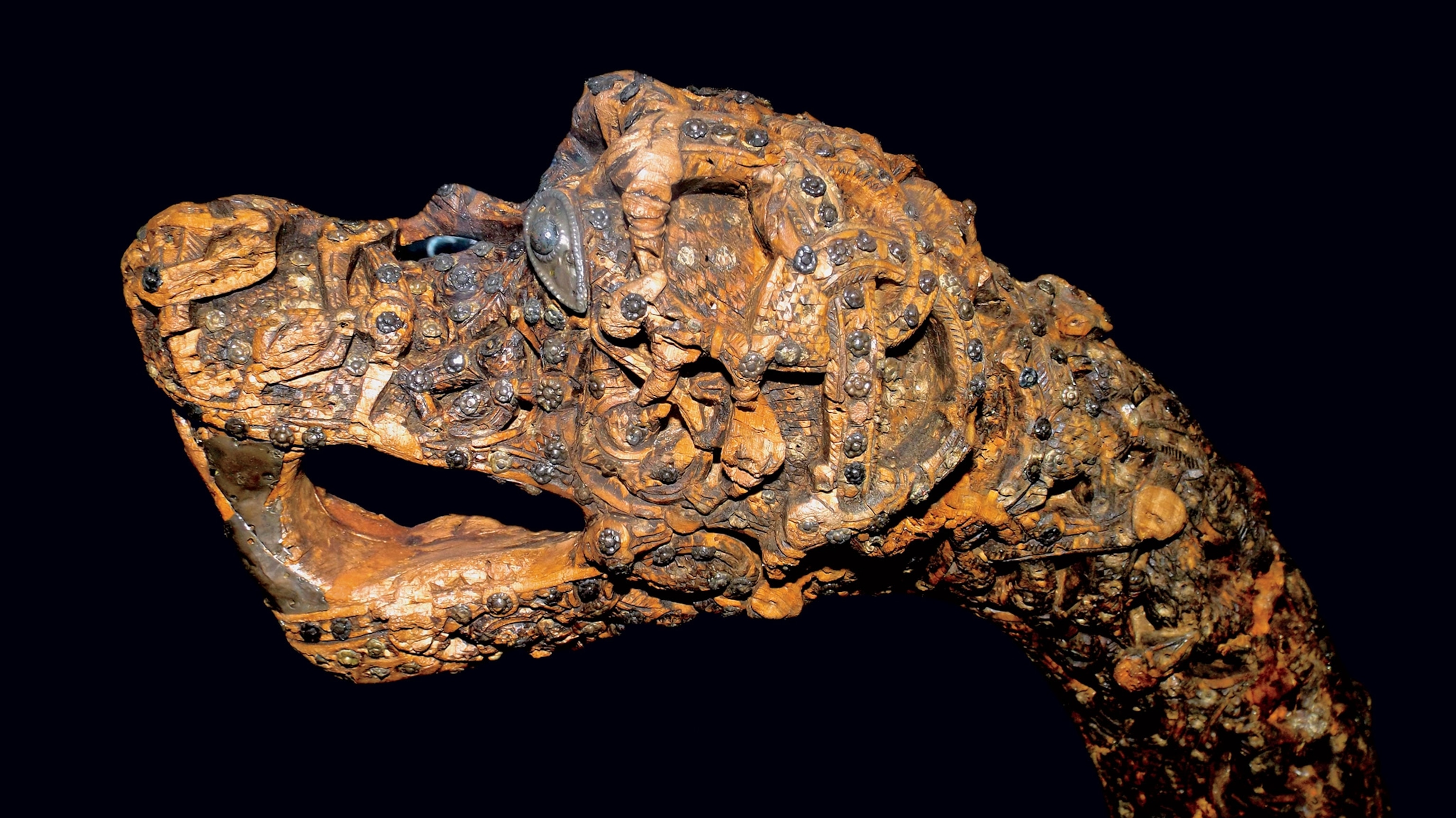 Still intact after more than a thousand years in the grave, this ornately carved animal head may have been carried in sacred processions or attached to a queen’s throne.
