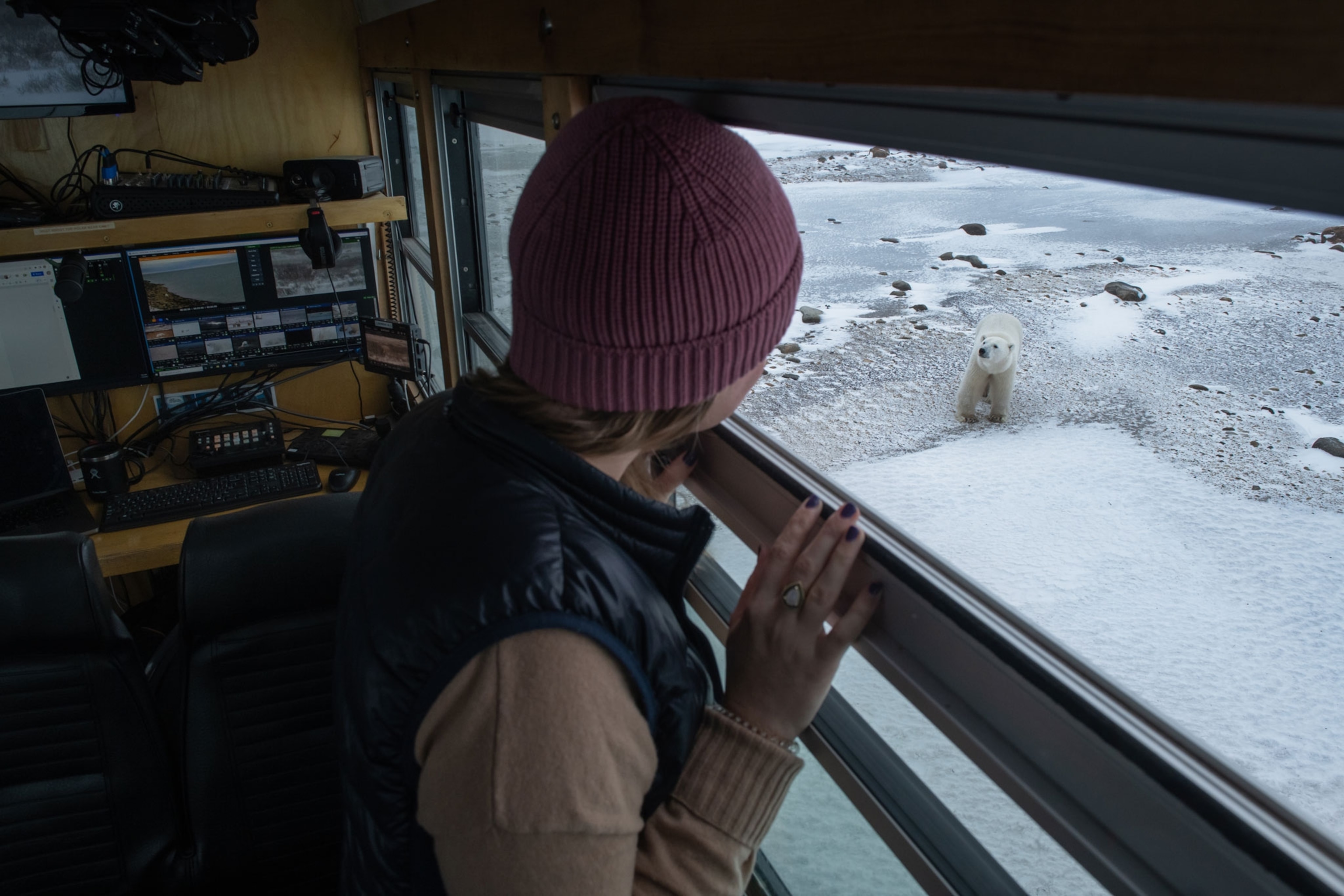 a woman looks out a window down at a polar bear walking near by