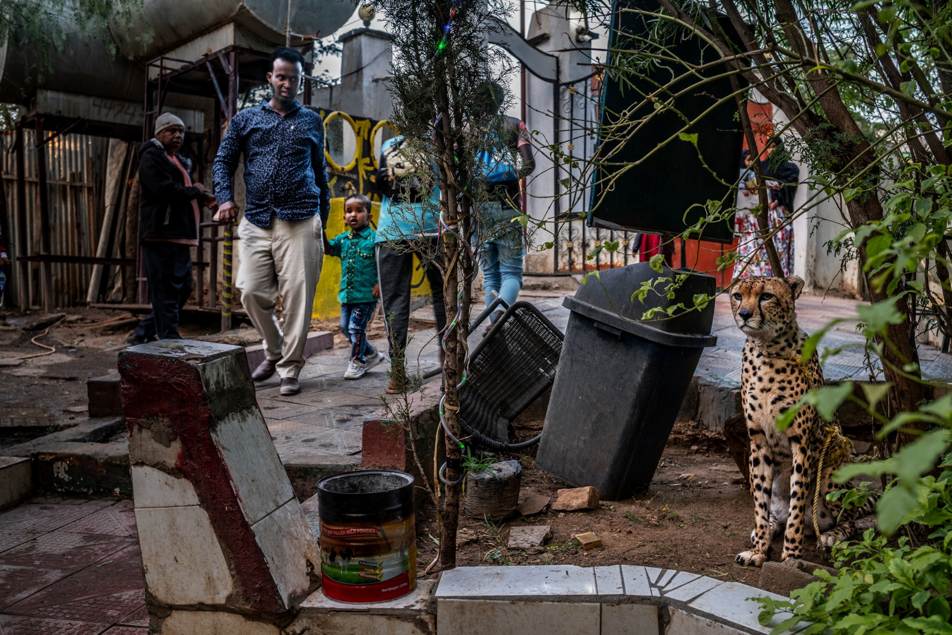 a cheetah outside a restaurant with pedestrians walking by