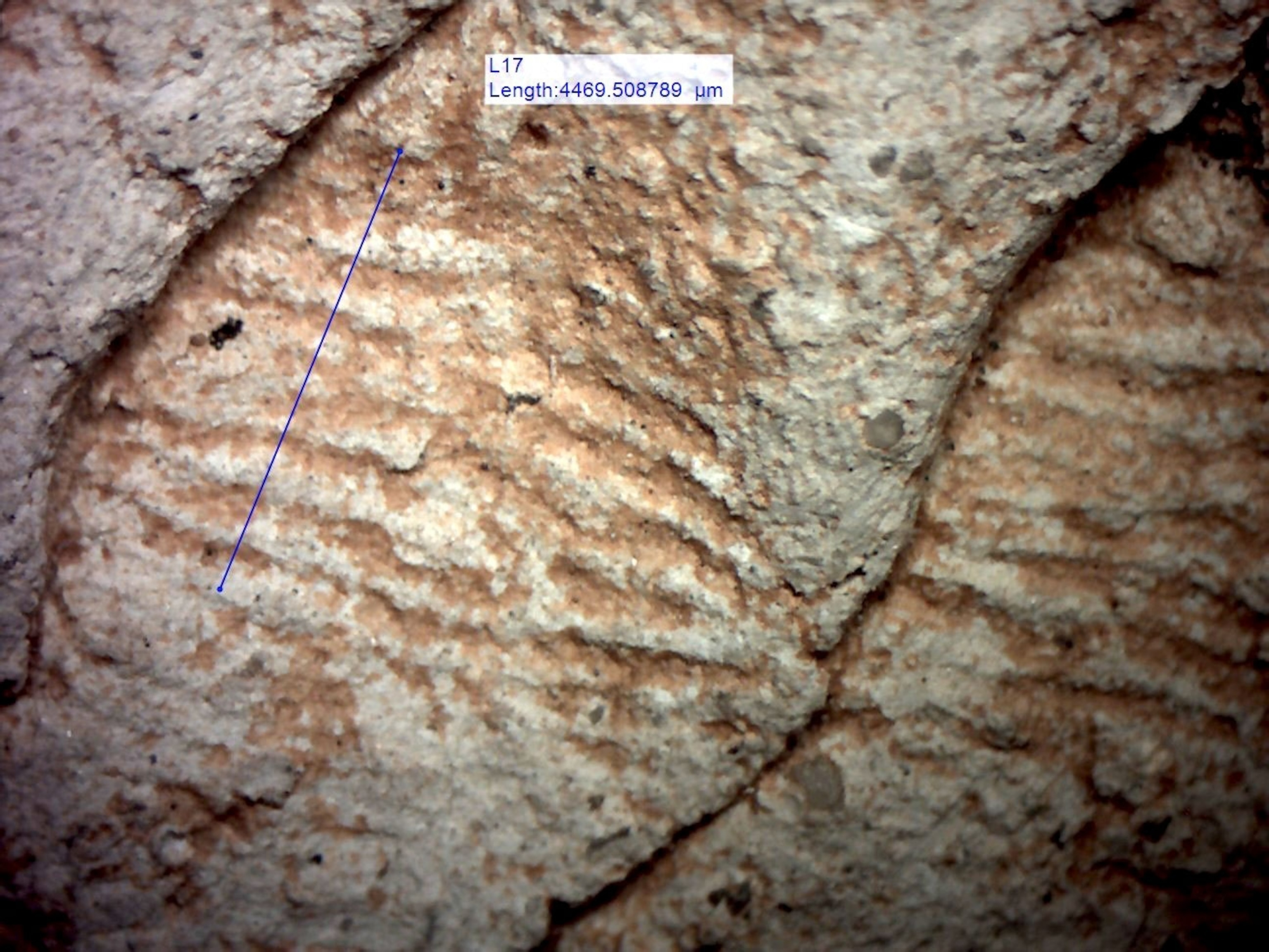 ancient fingerprints