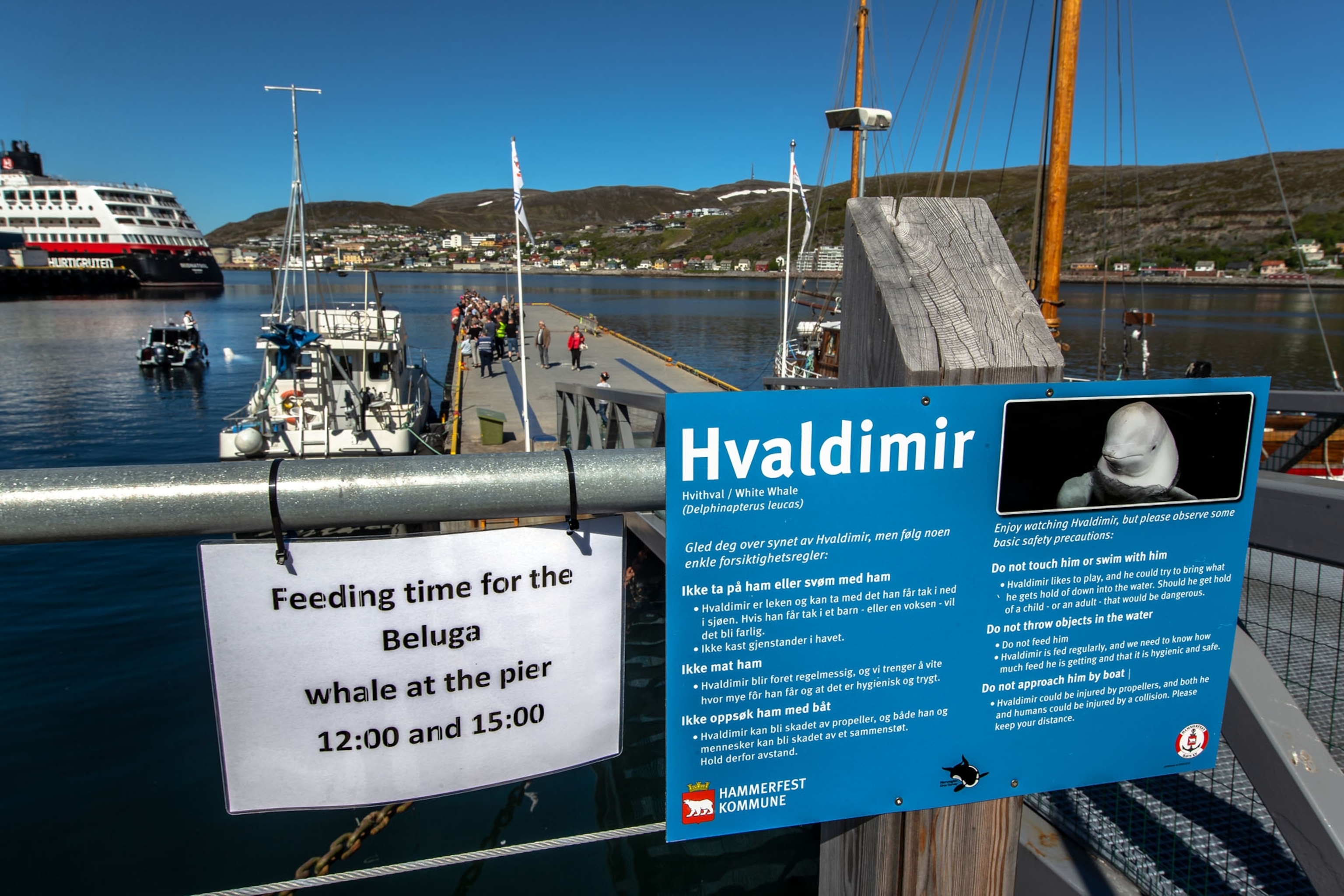 billboards on railing of pier.