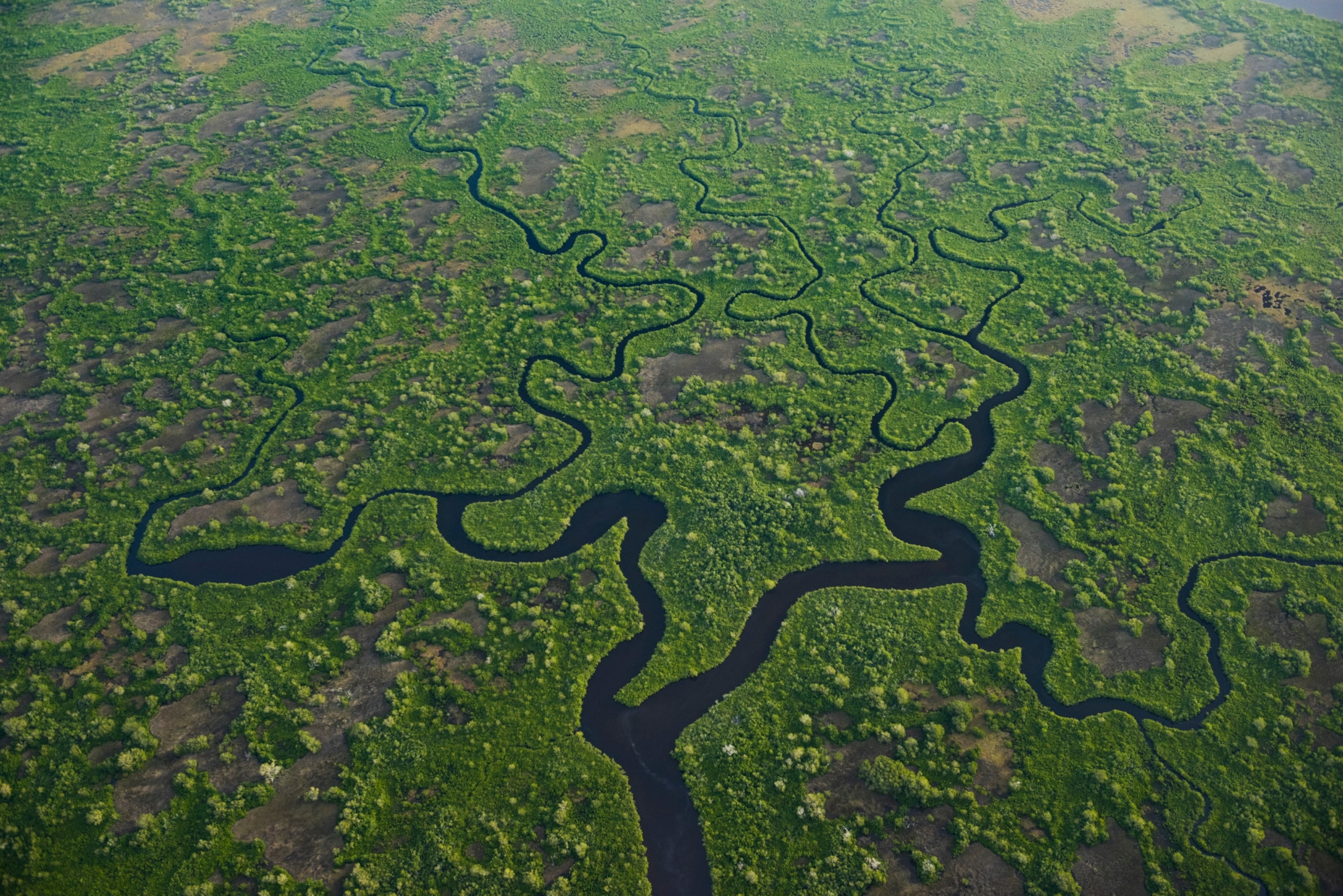 Aerial view of wetlands