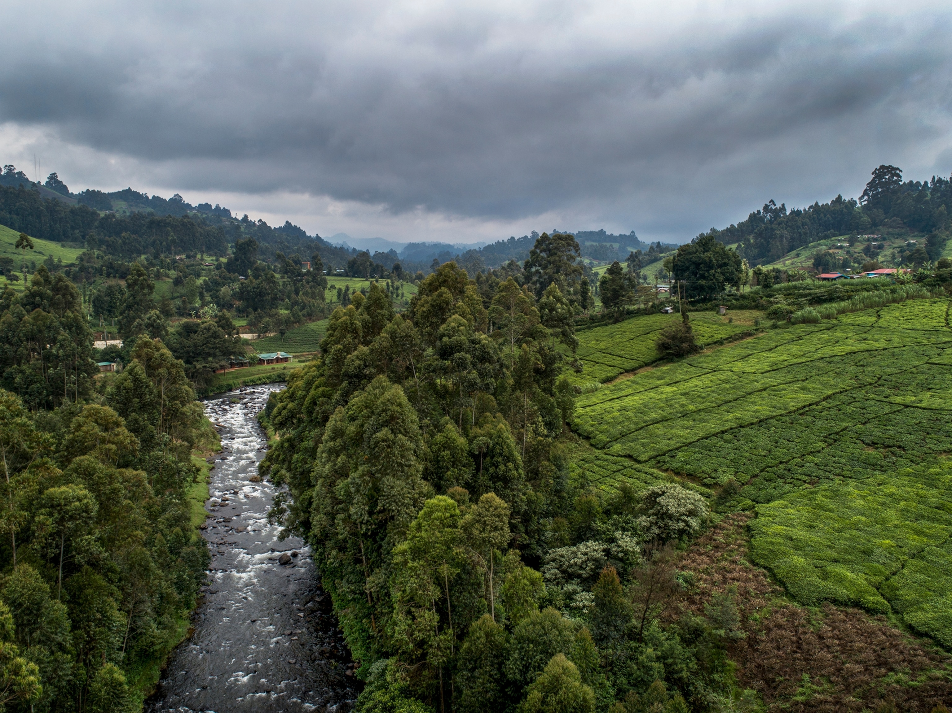 fly fishing in Kenya