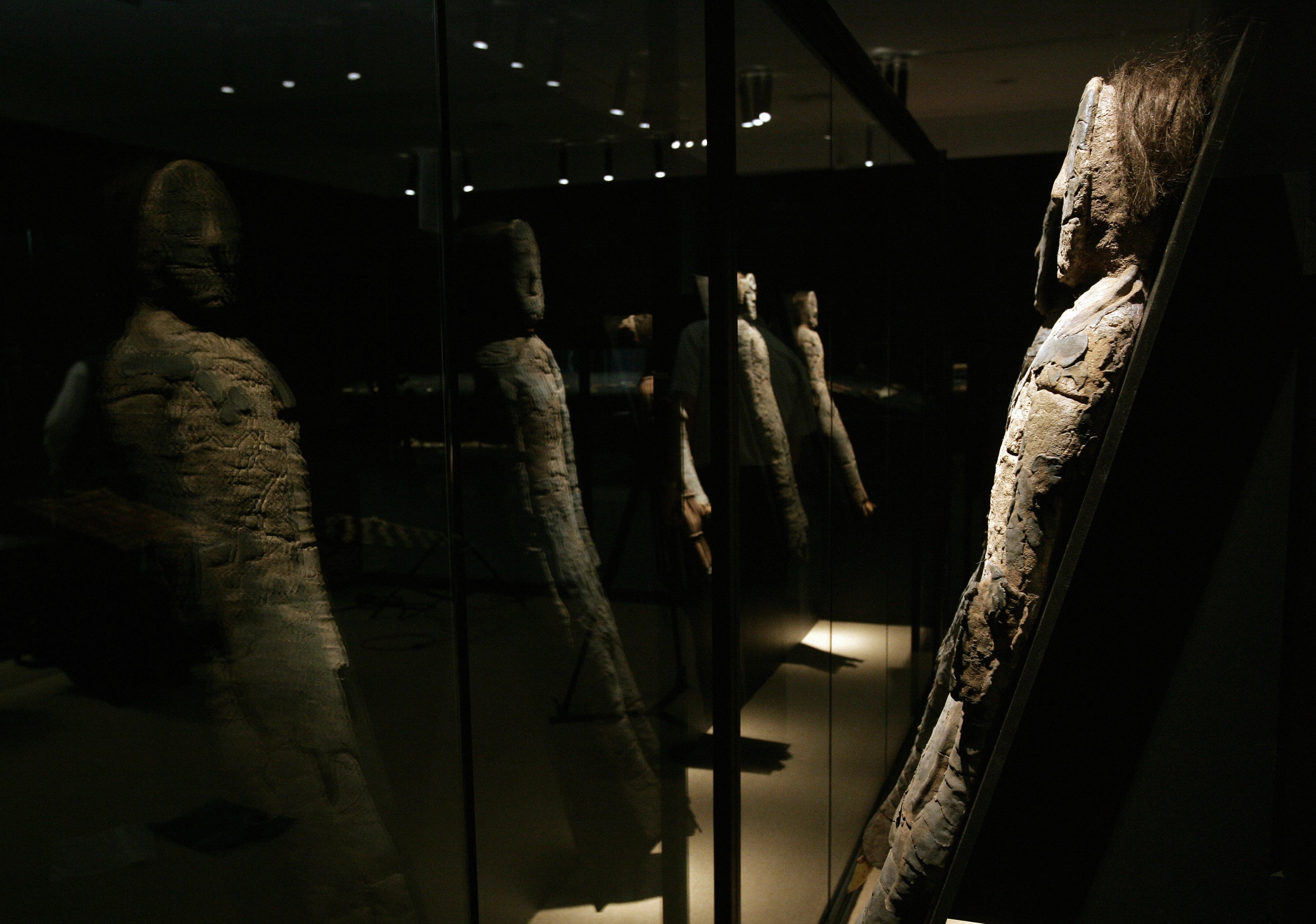 A group of Chinchorro mummies on display