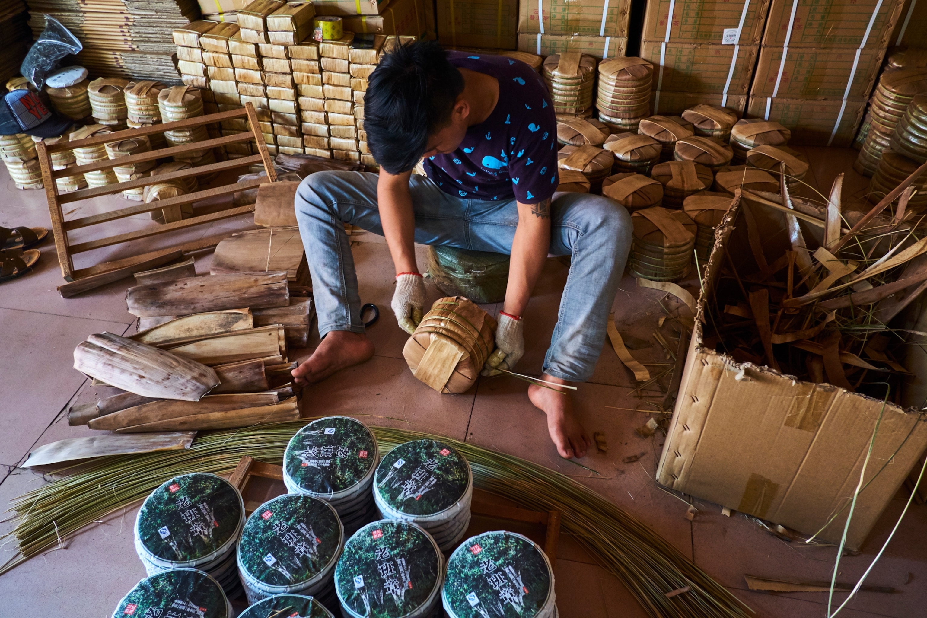pu'er tea factory, Xishuangbanna district, Yunnan, China