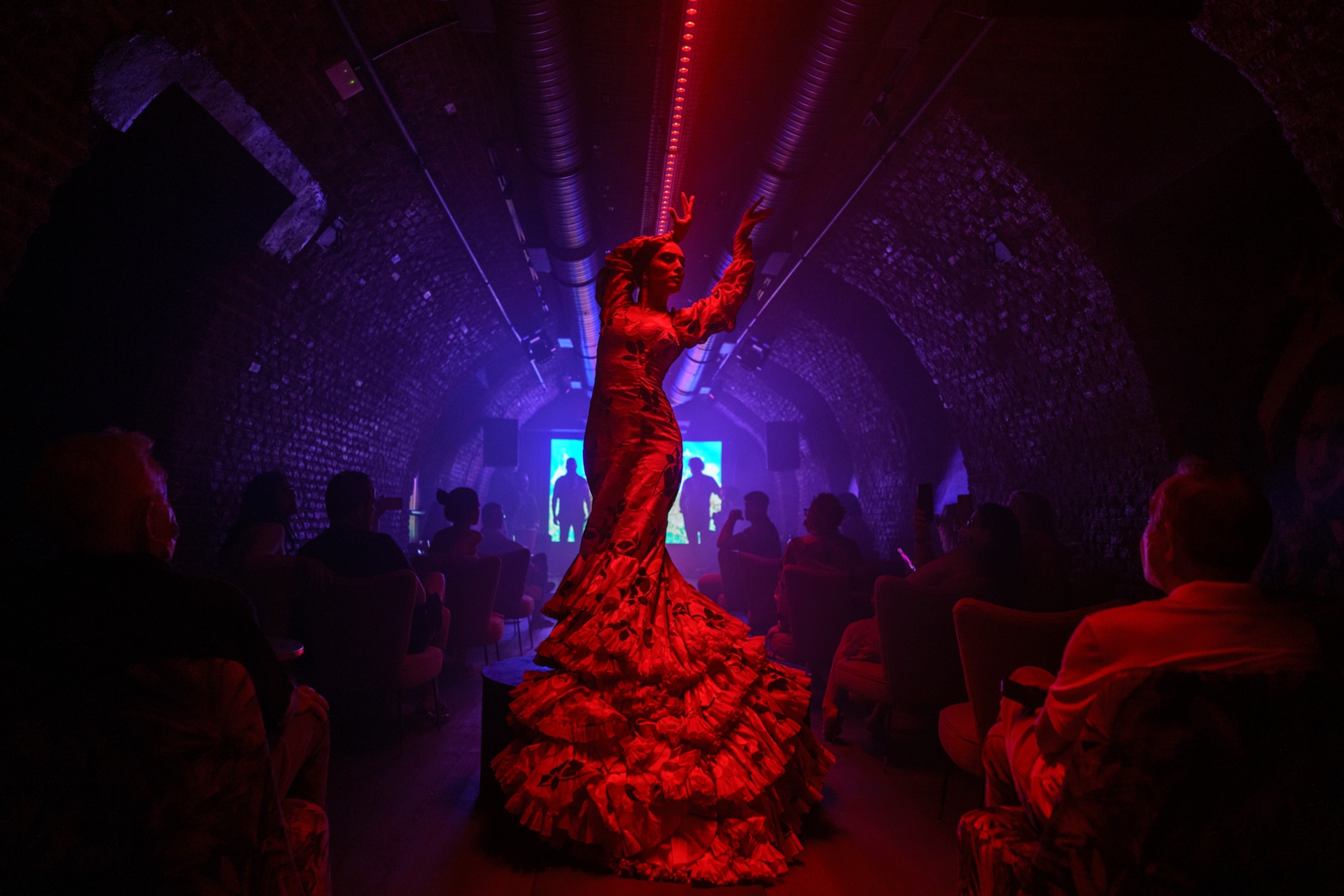 Flamenco dancer Alba Heredia during her performance at the tablao flamenco La Carmela in Madrid