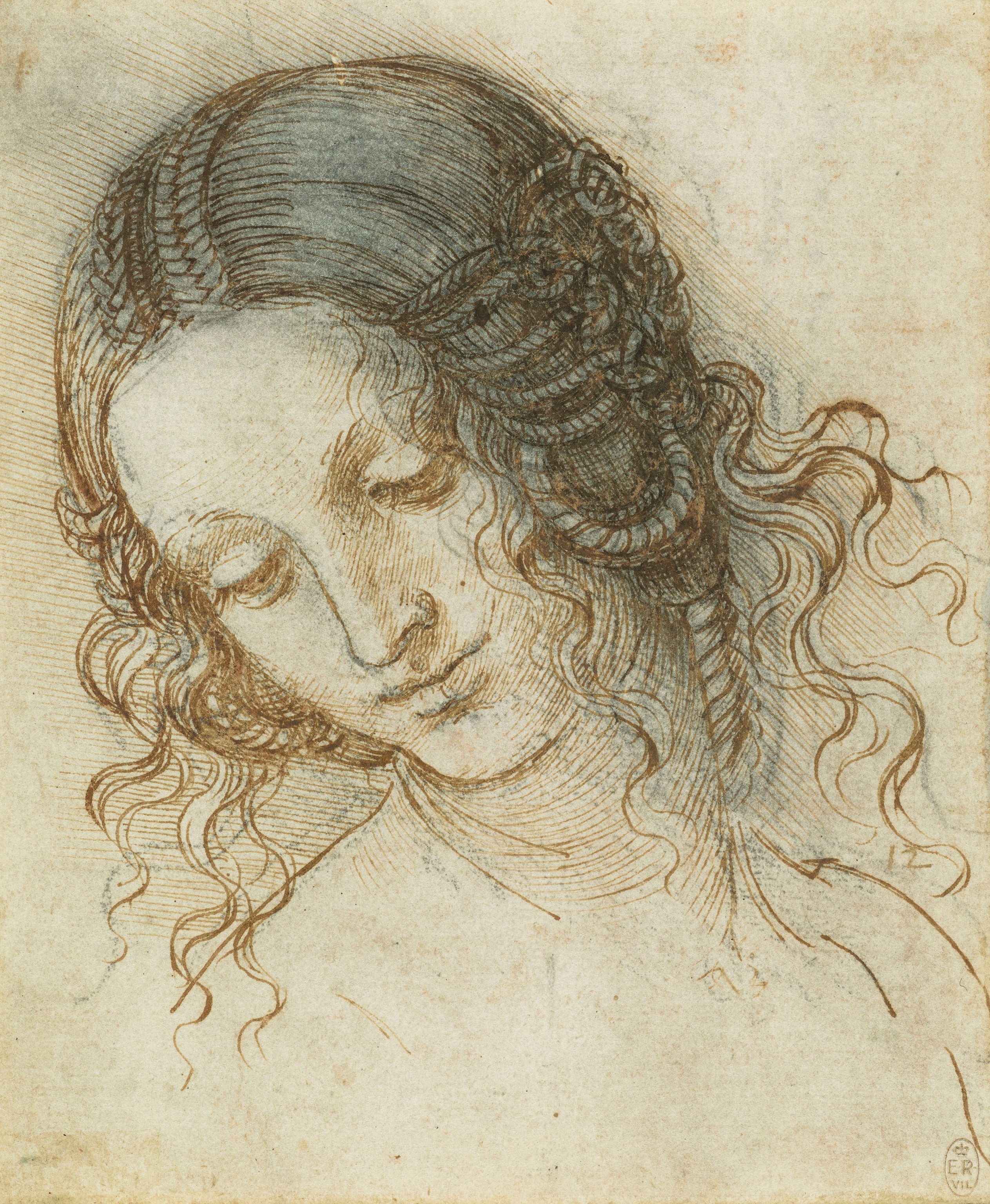 a face of a woman with curly flowing hair and braids