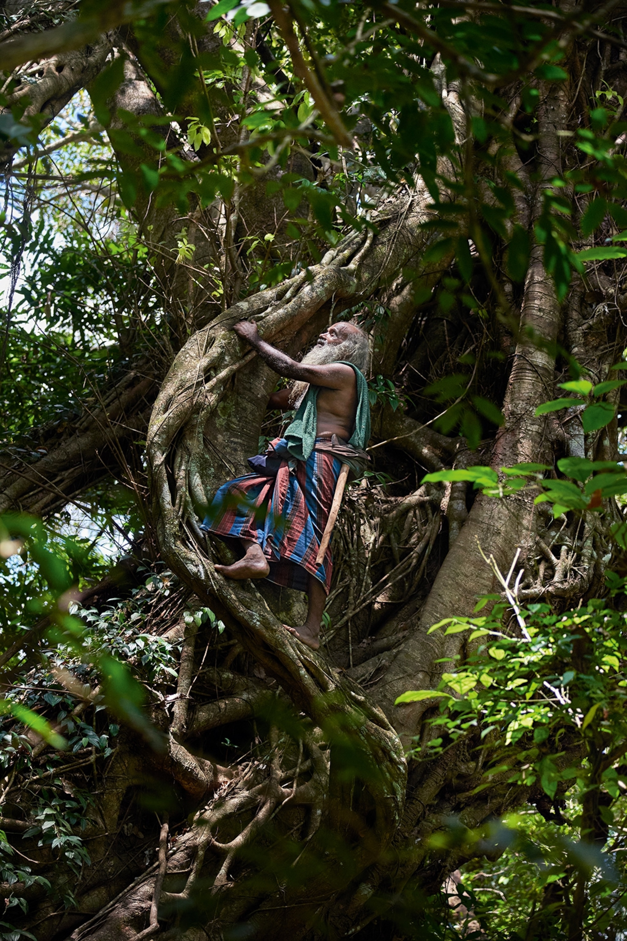 Man climbing in a tree wearing patterned clothing