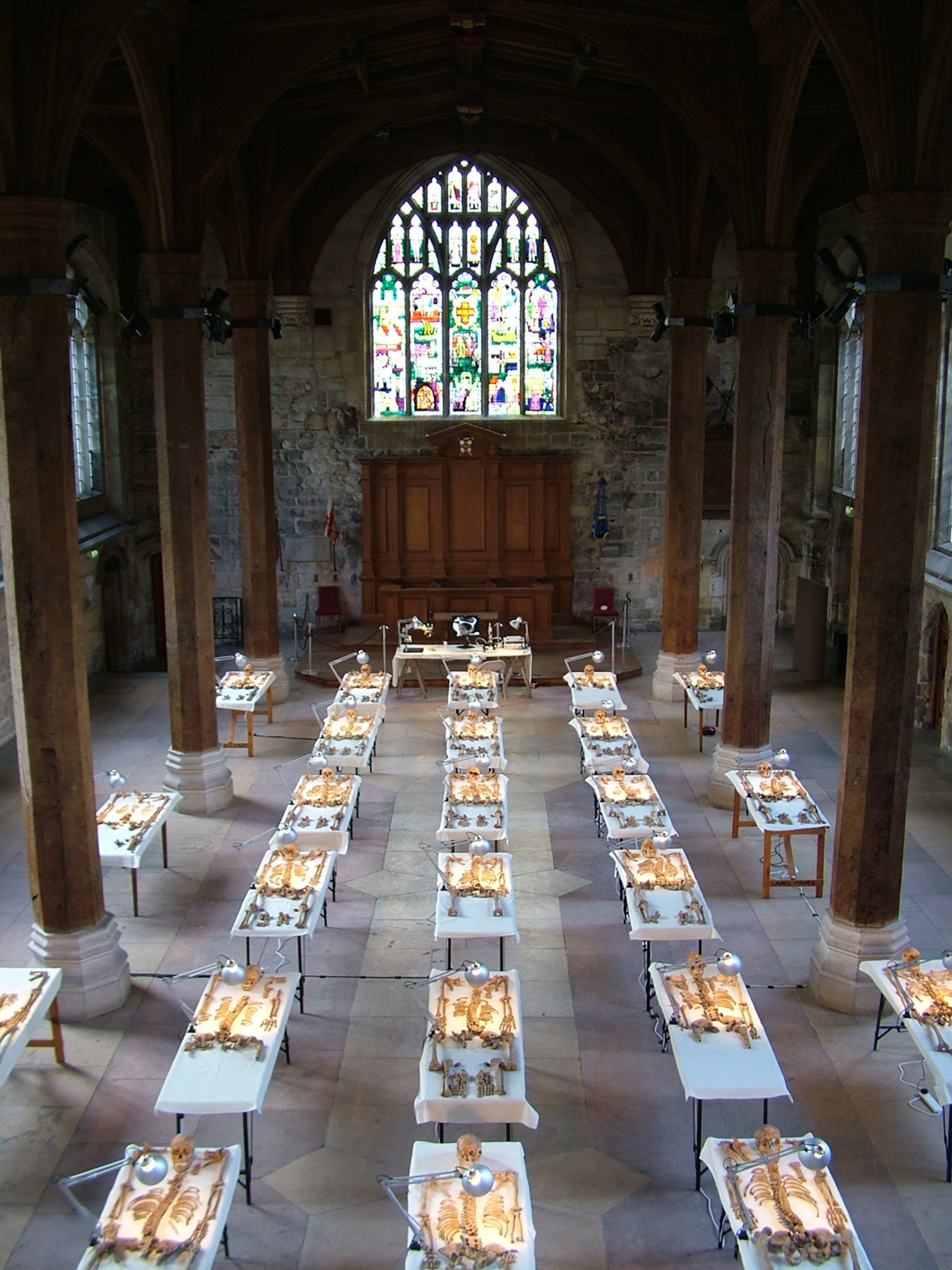 The Roman-age skeletons from Driffield Terrace laid out in York's Guildhall.