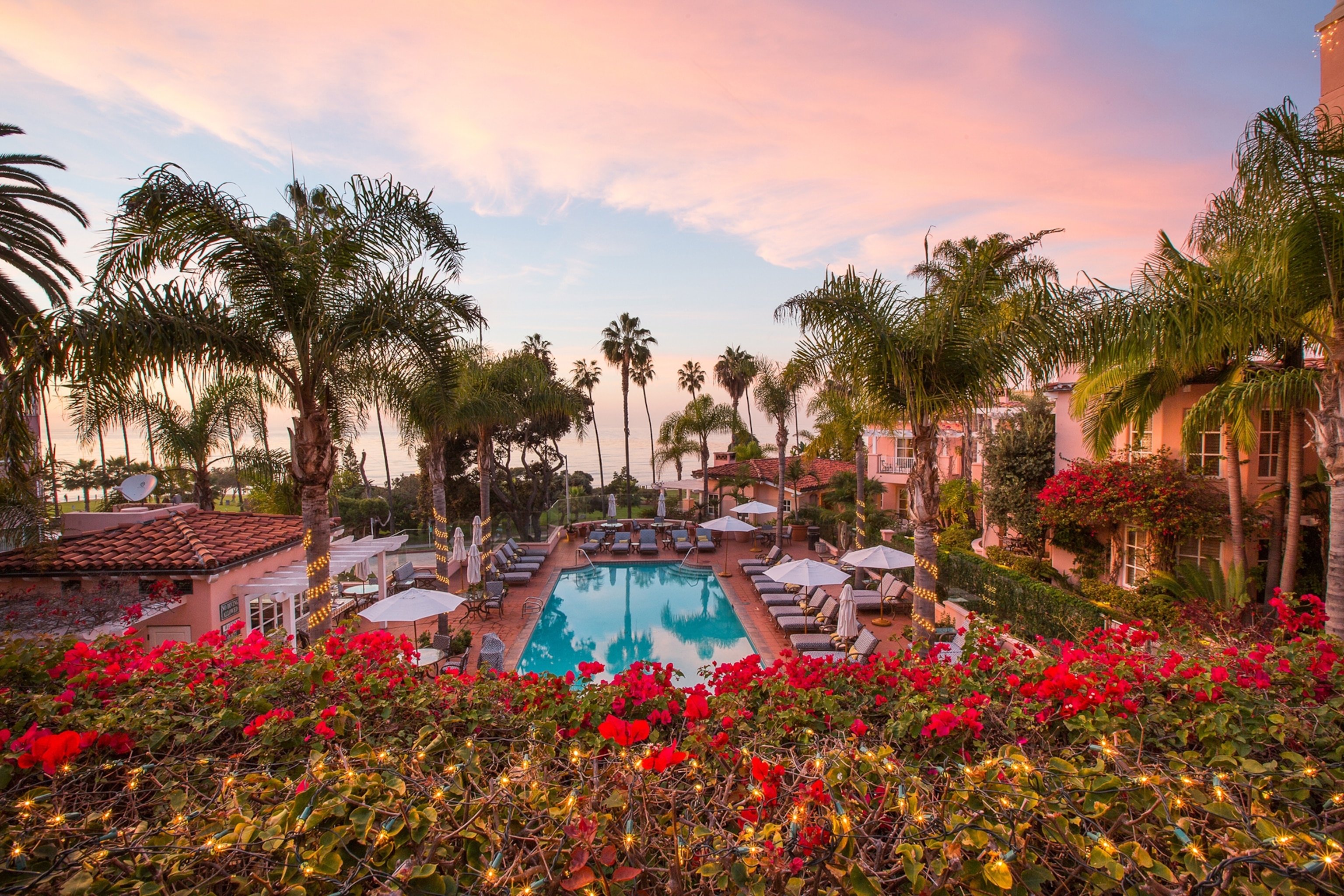 A view of the La Valencia pool surrounded by flowering plans and palm trees at sunset.