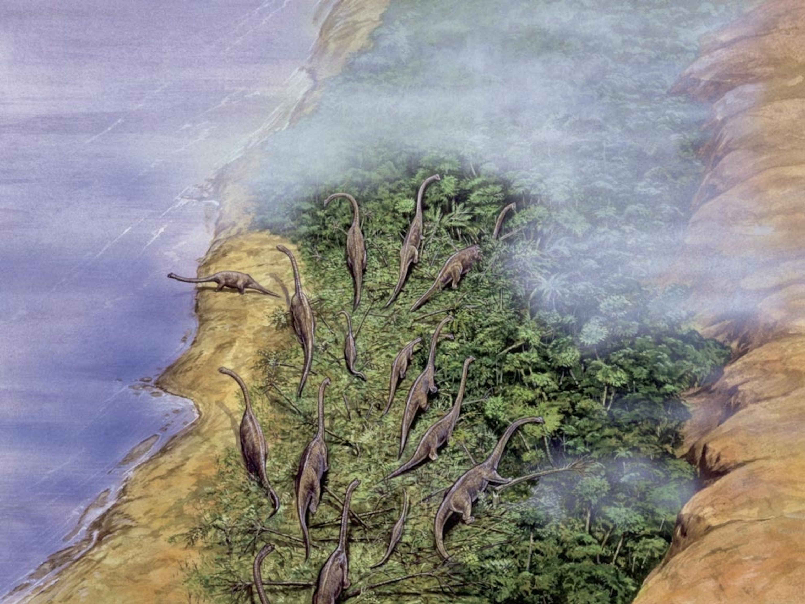 Illustration: Brachiosaurs foraging along coast