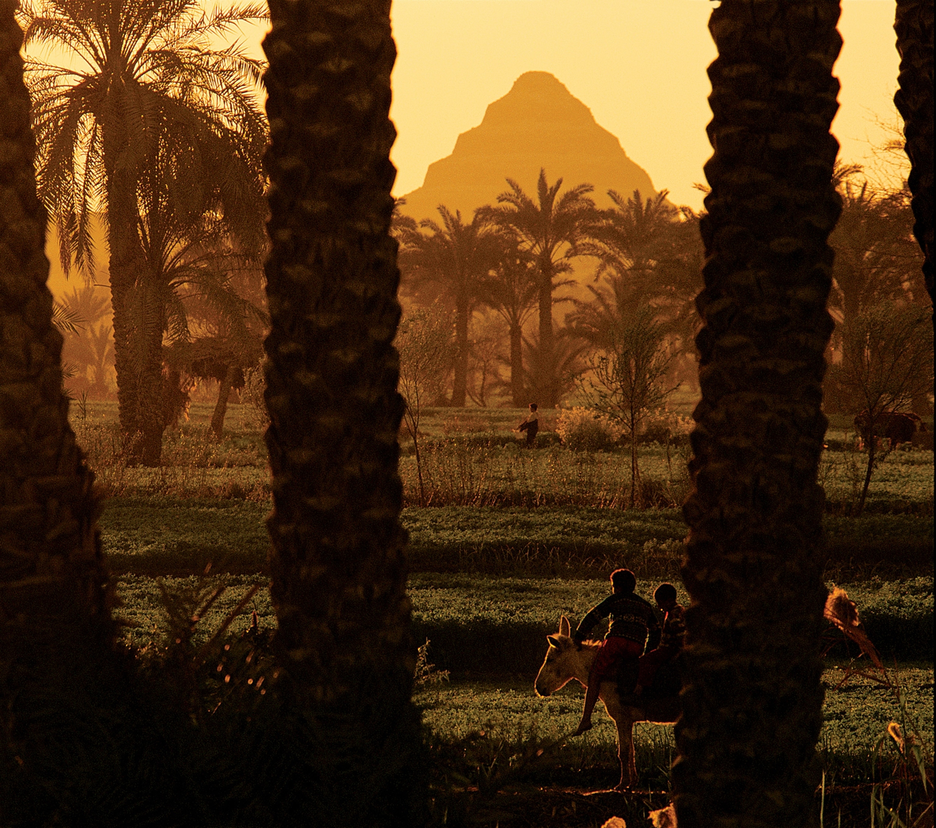 Children ride a donkey near the Step Pyramid of Djoser at sunset.
