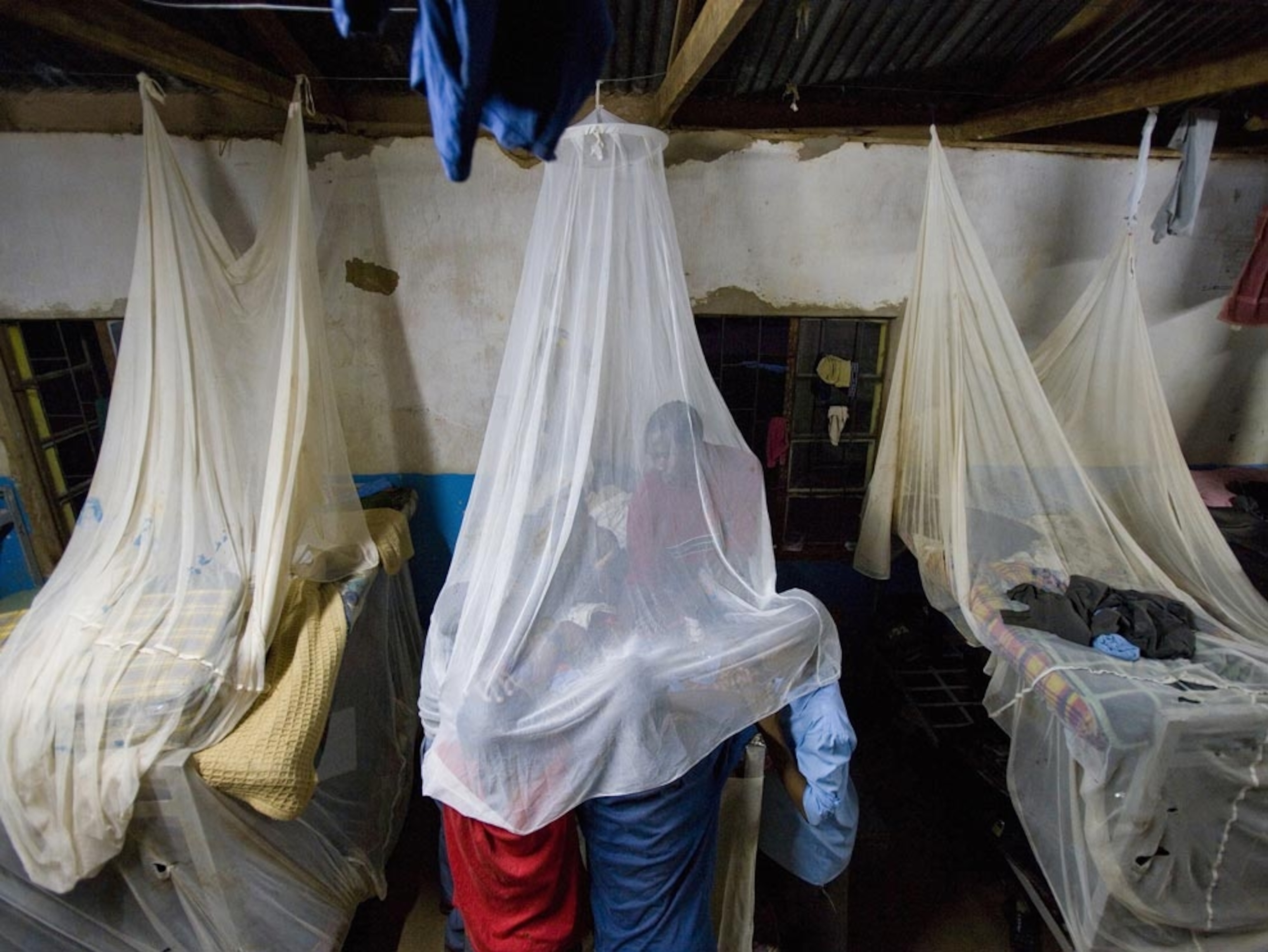 Mosquito nets in dormitory