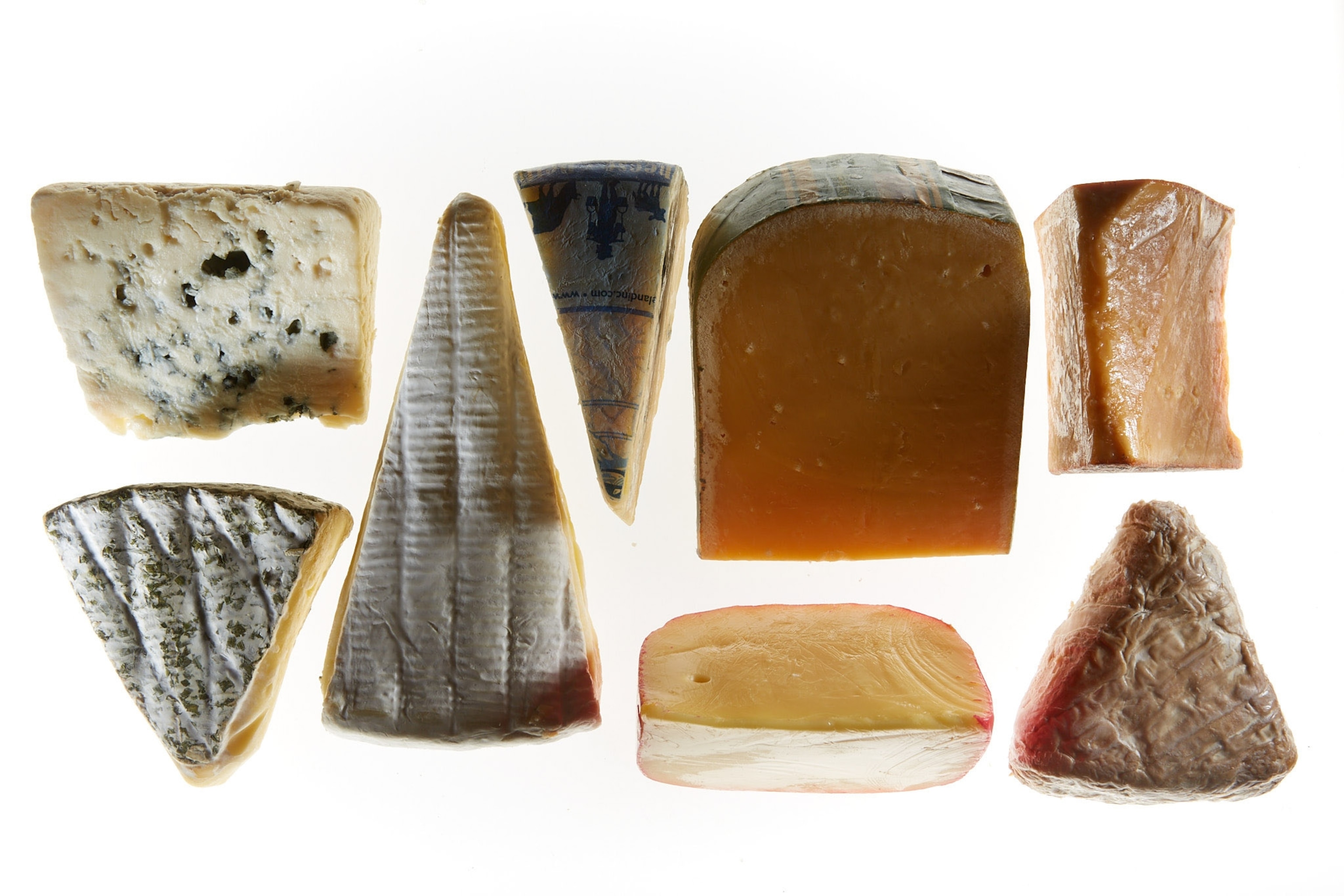 A variety of cheese on a white background.