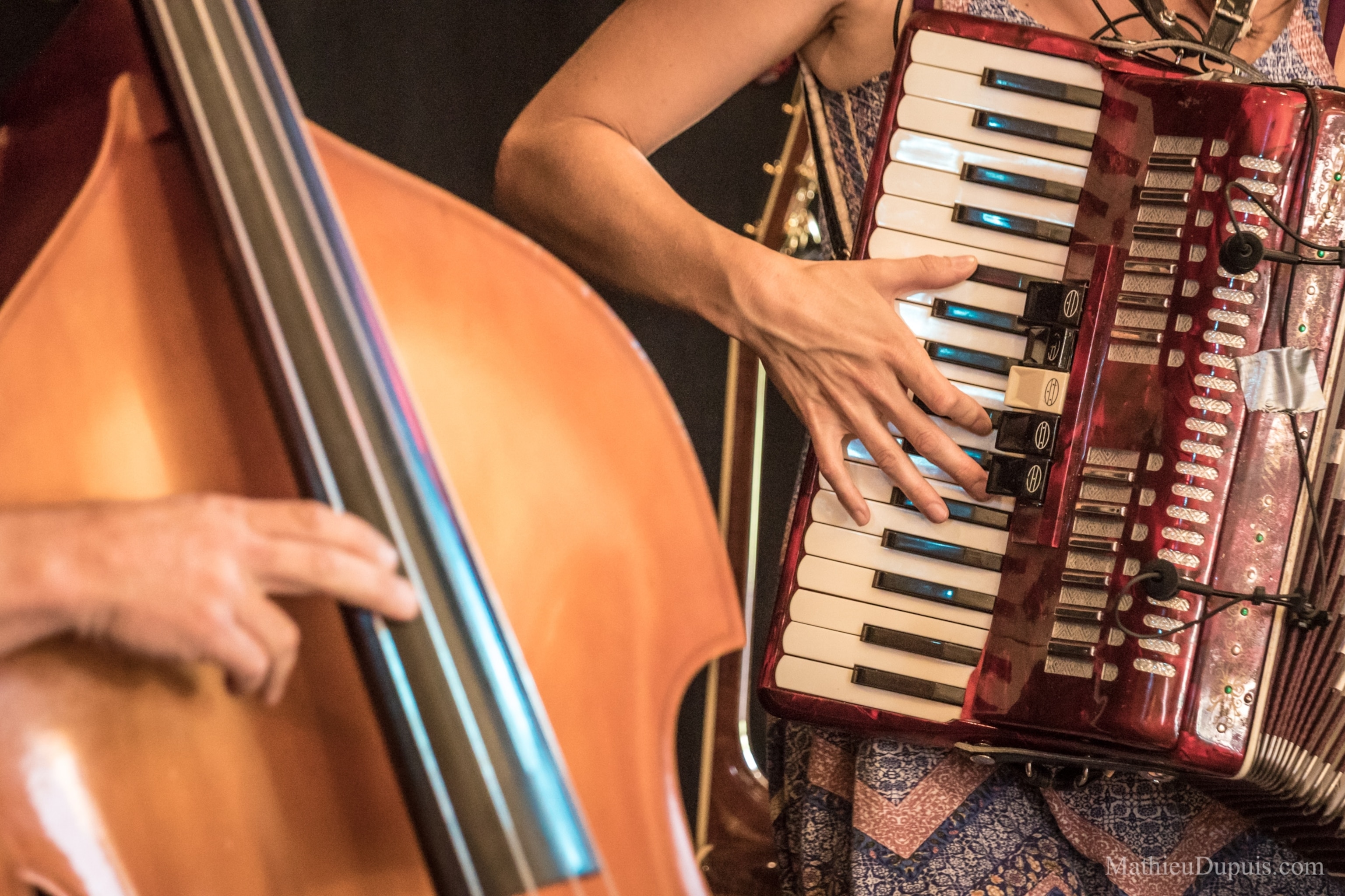 two people playing the accordion and the cello.