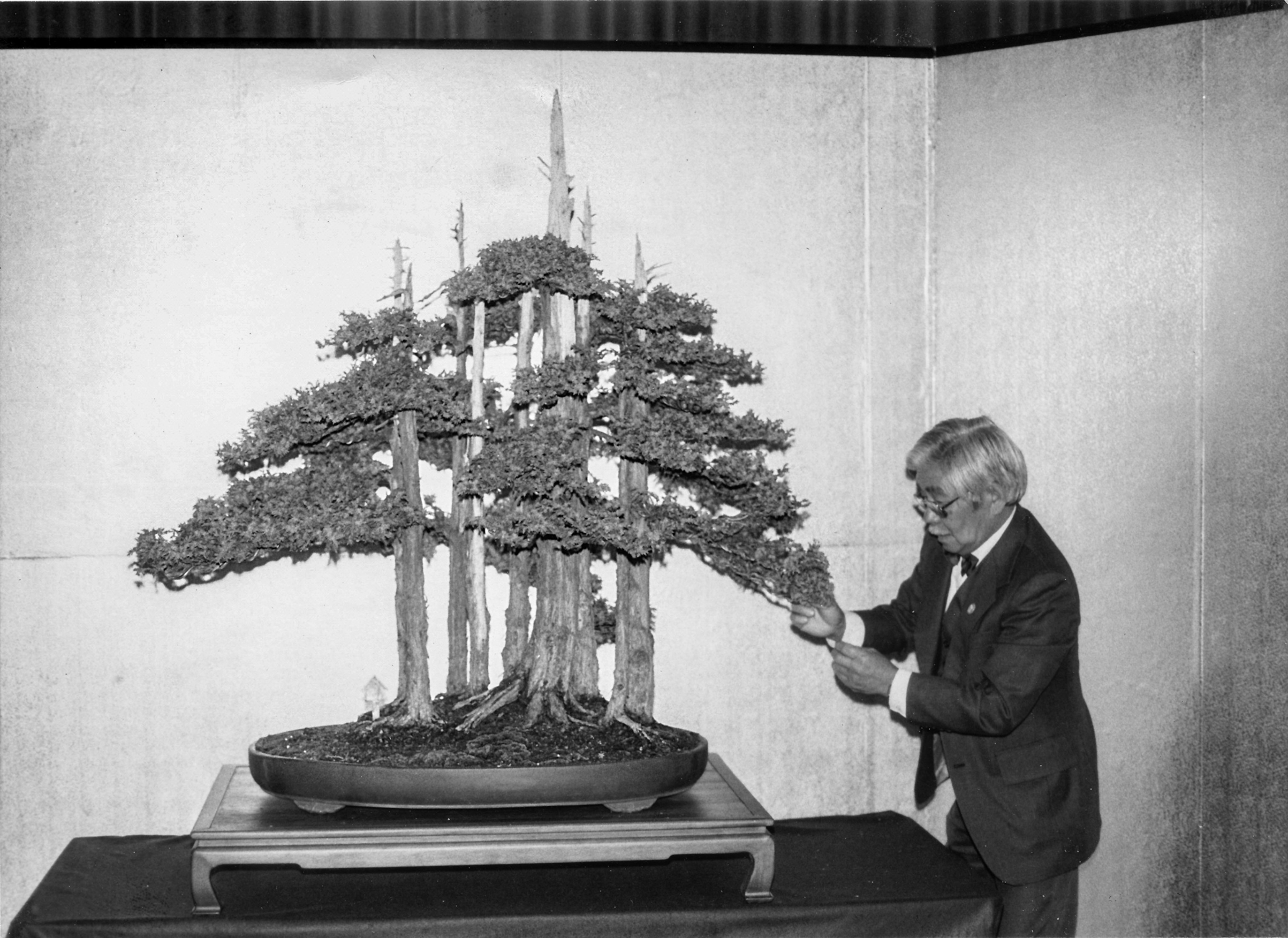 Black and white photo of a man dressed in formal suit touching the tree branch of the bonsai grove.