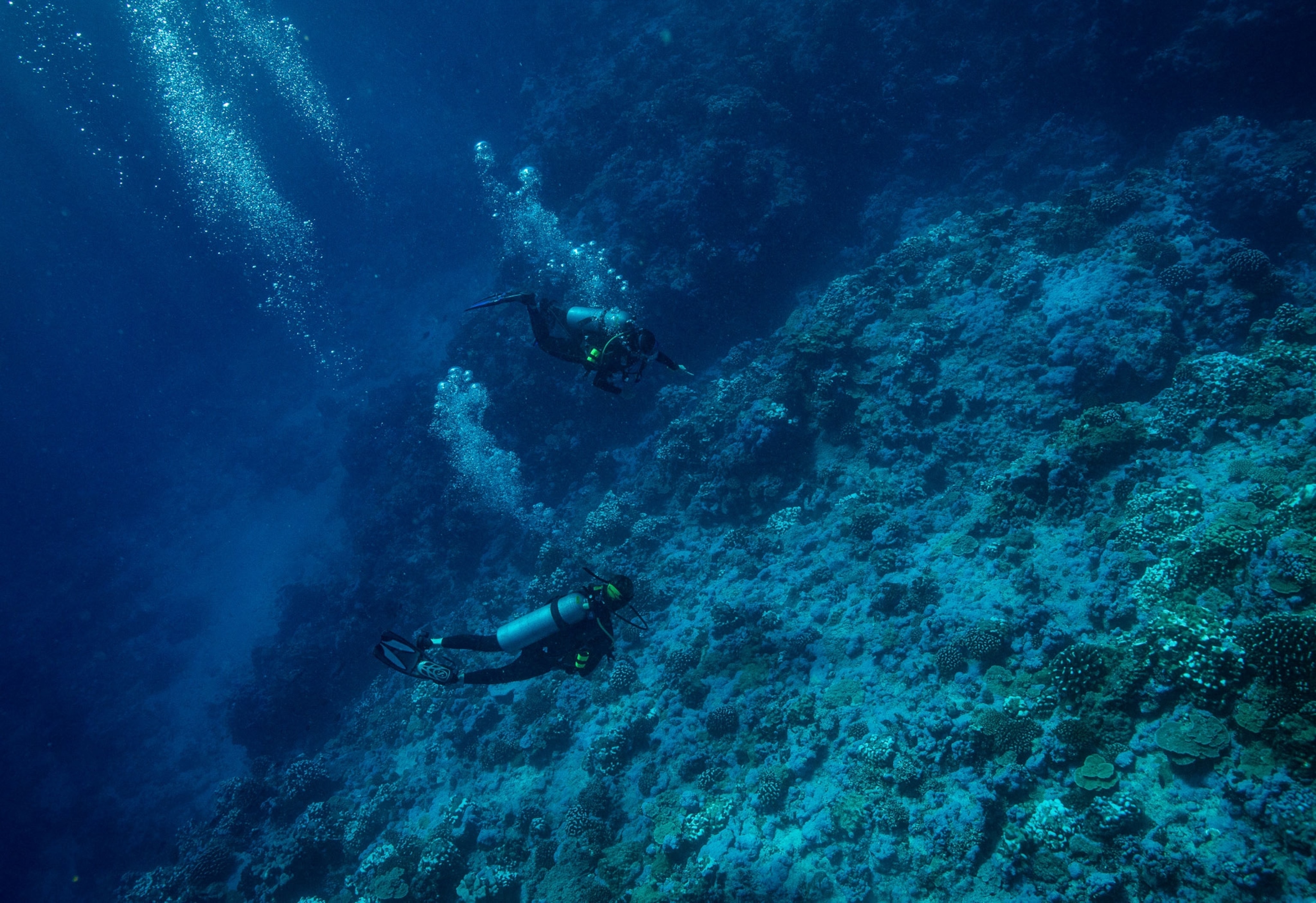 divers searching for Amelia Earhat's airplane