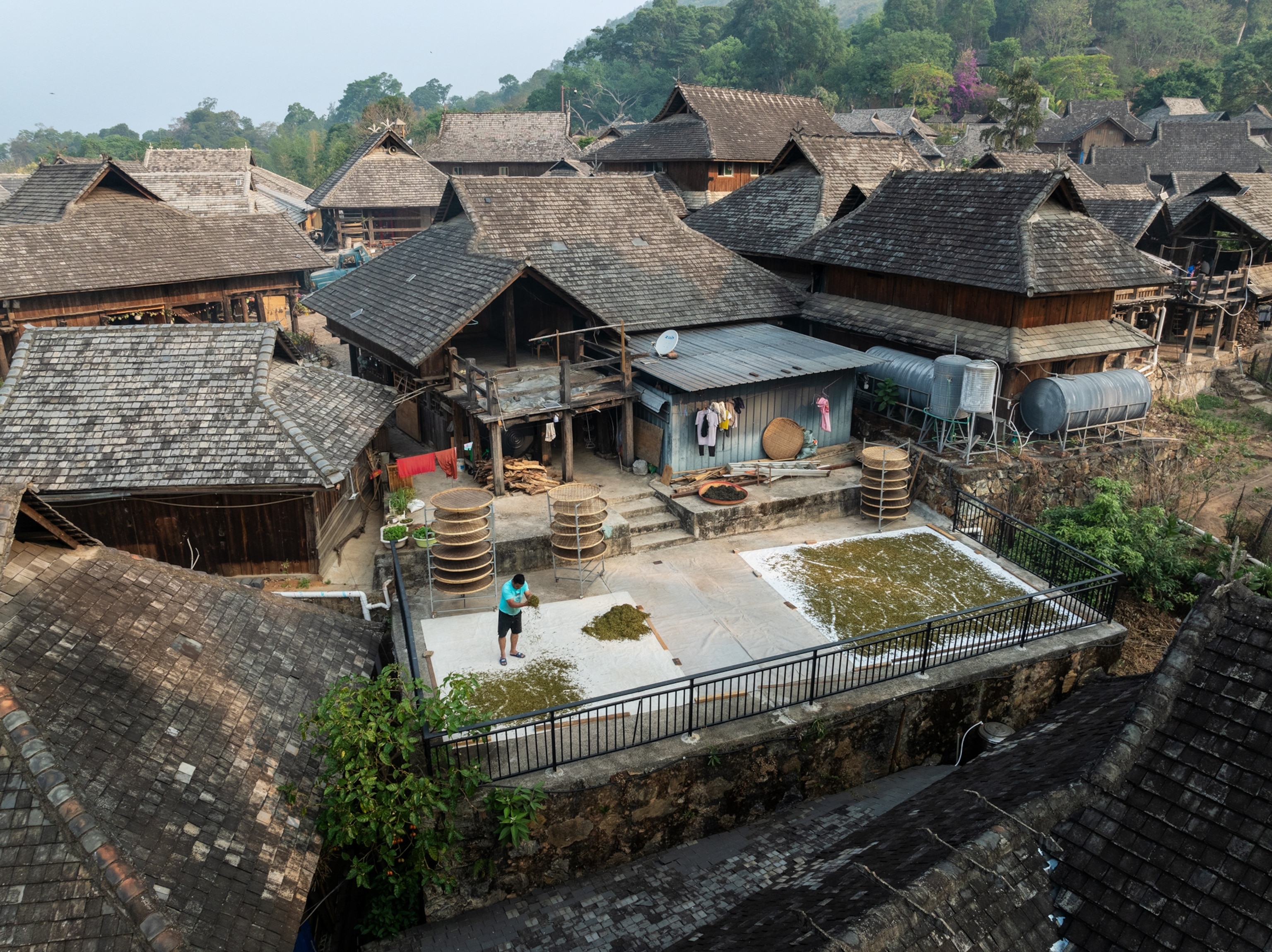 A wide view of homes shows a man laying out tea leaves on white tarps to dry in the sun.