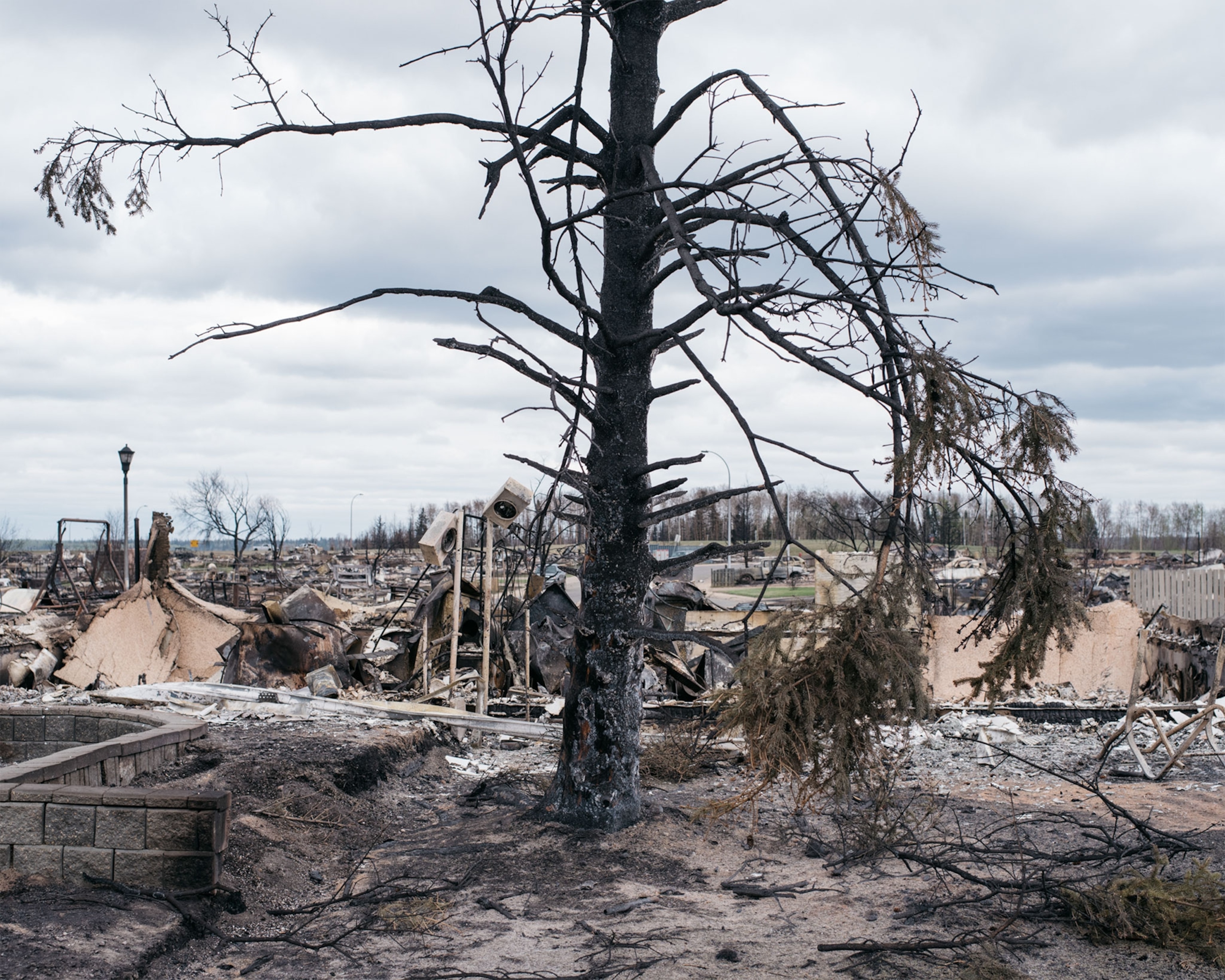 a burnt tree surrounded by destroyed houses