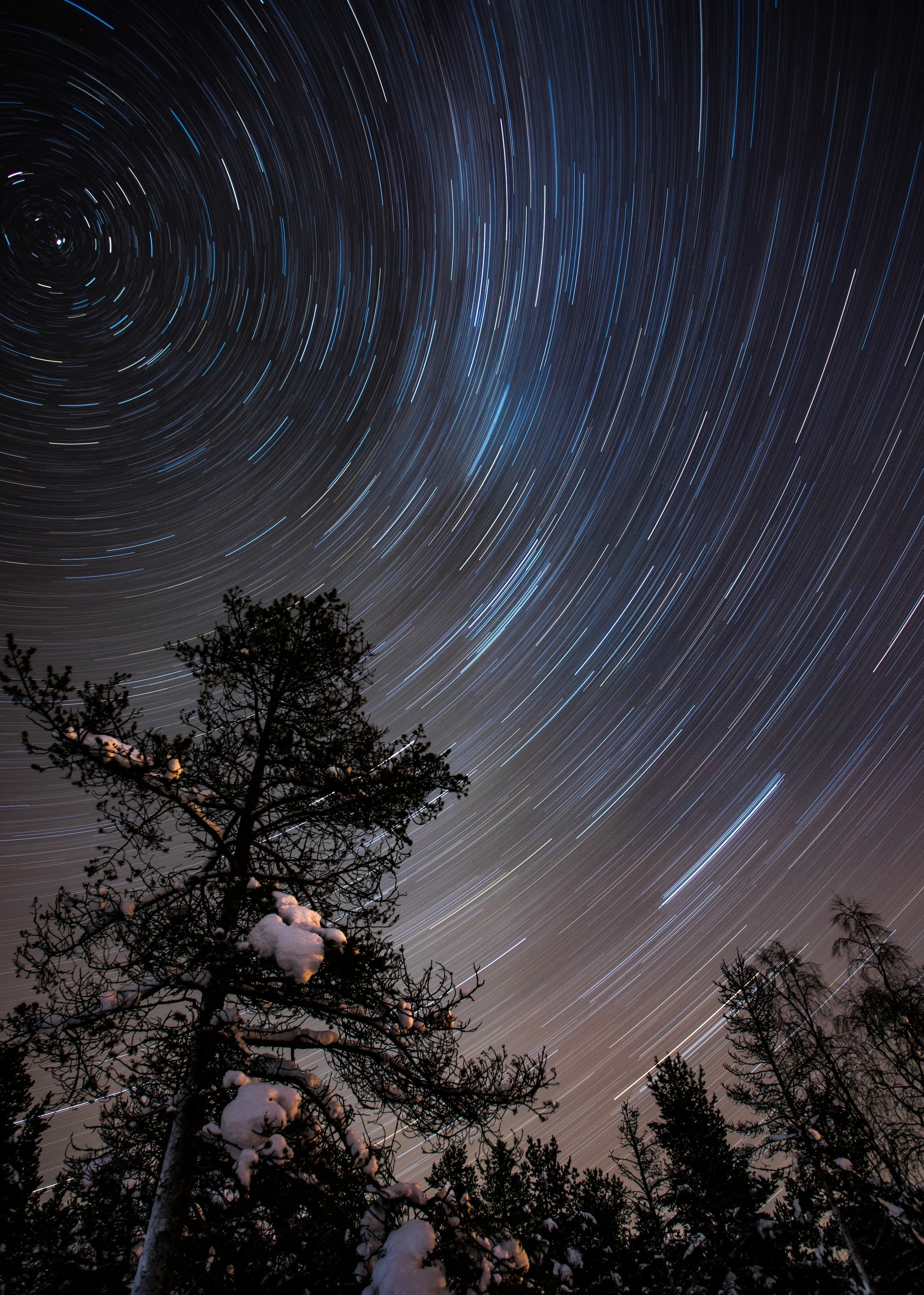 A starry sky.