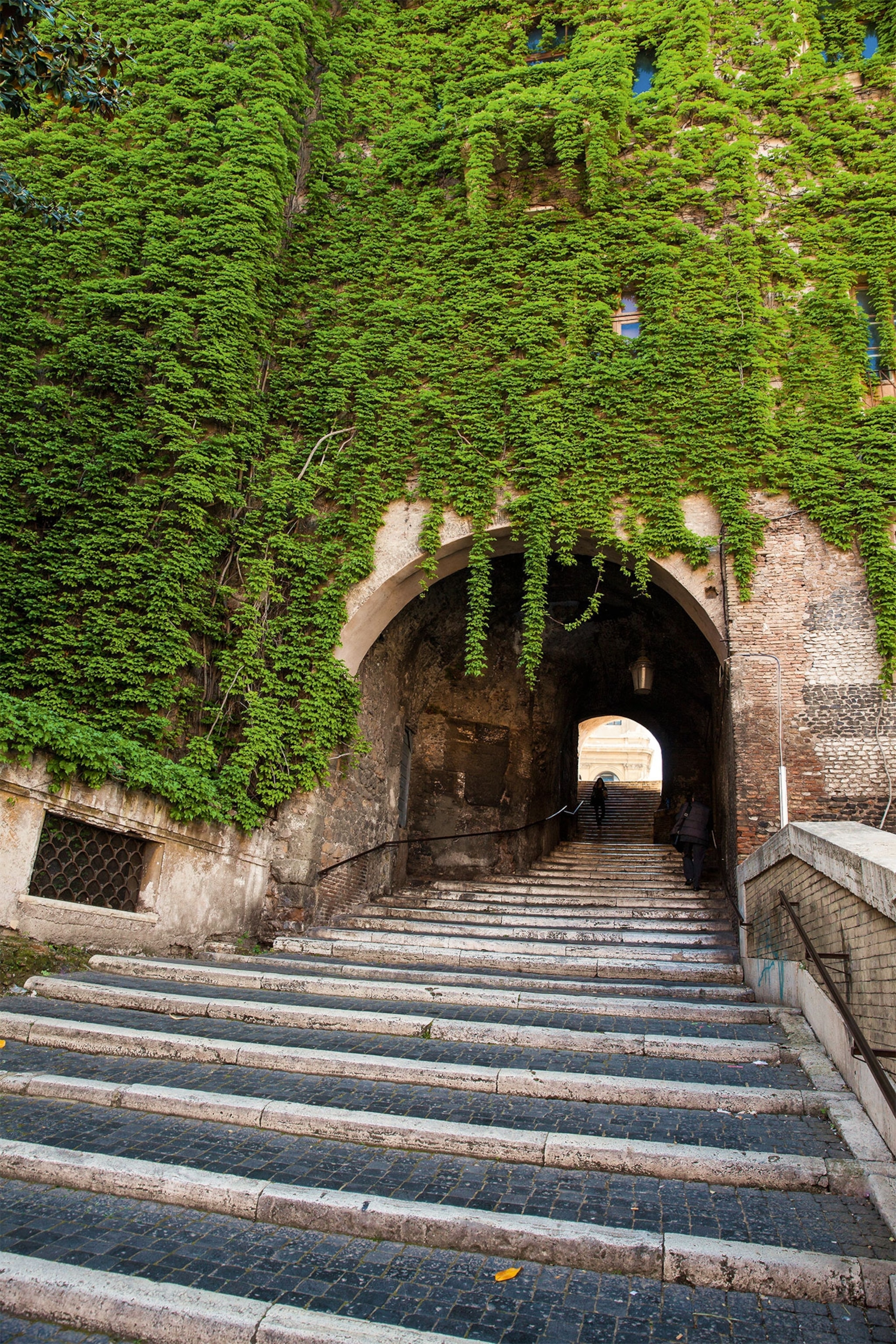 A view up the steps of the Borgia Stairs in Rome, with ivy covering the city walls