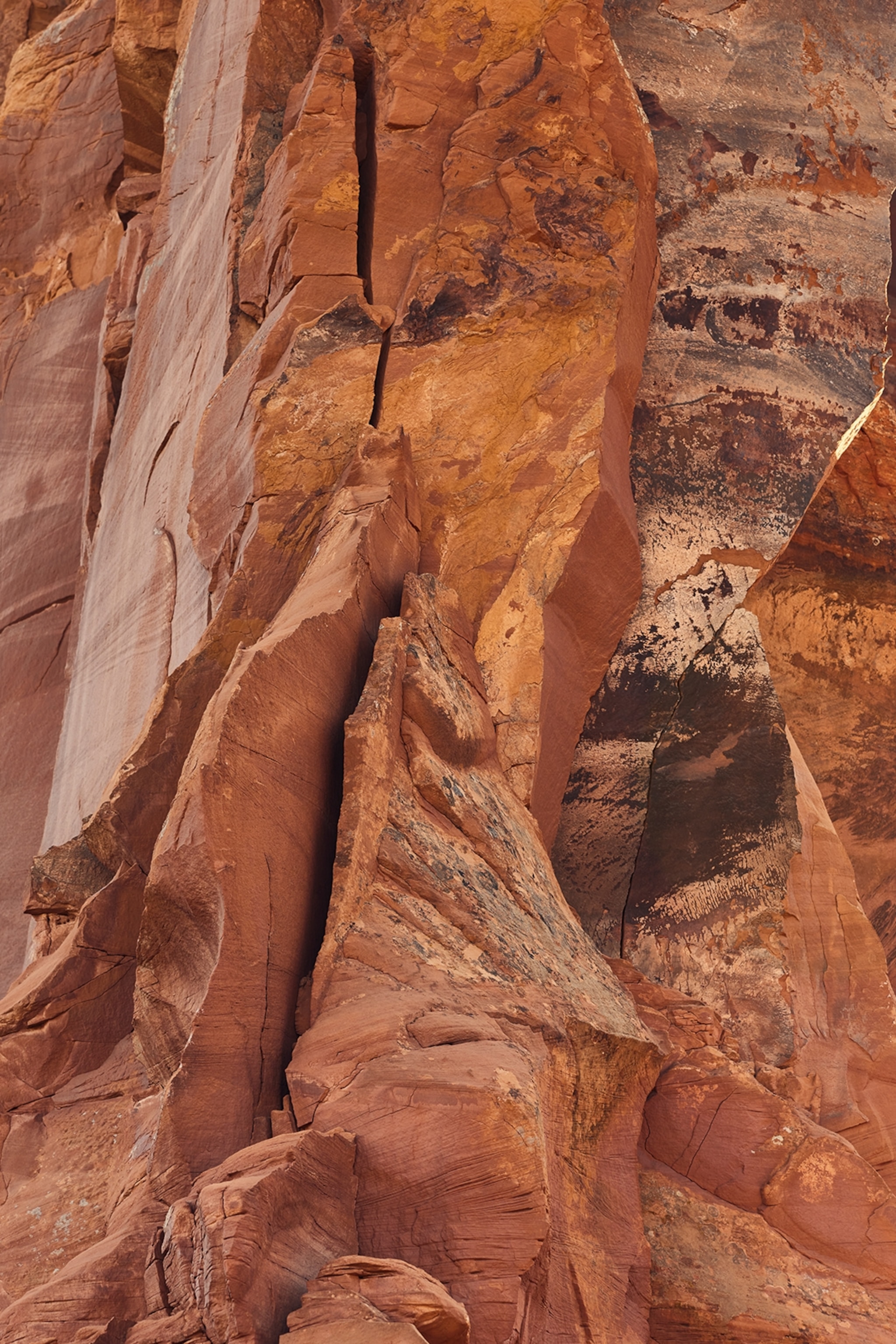 Close up of orange desert rock