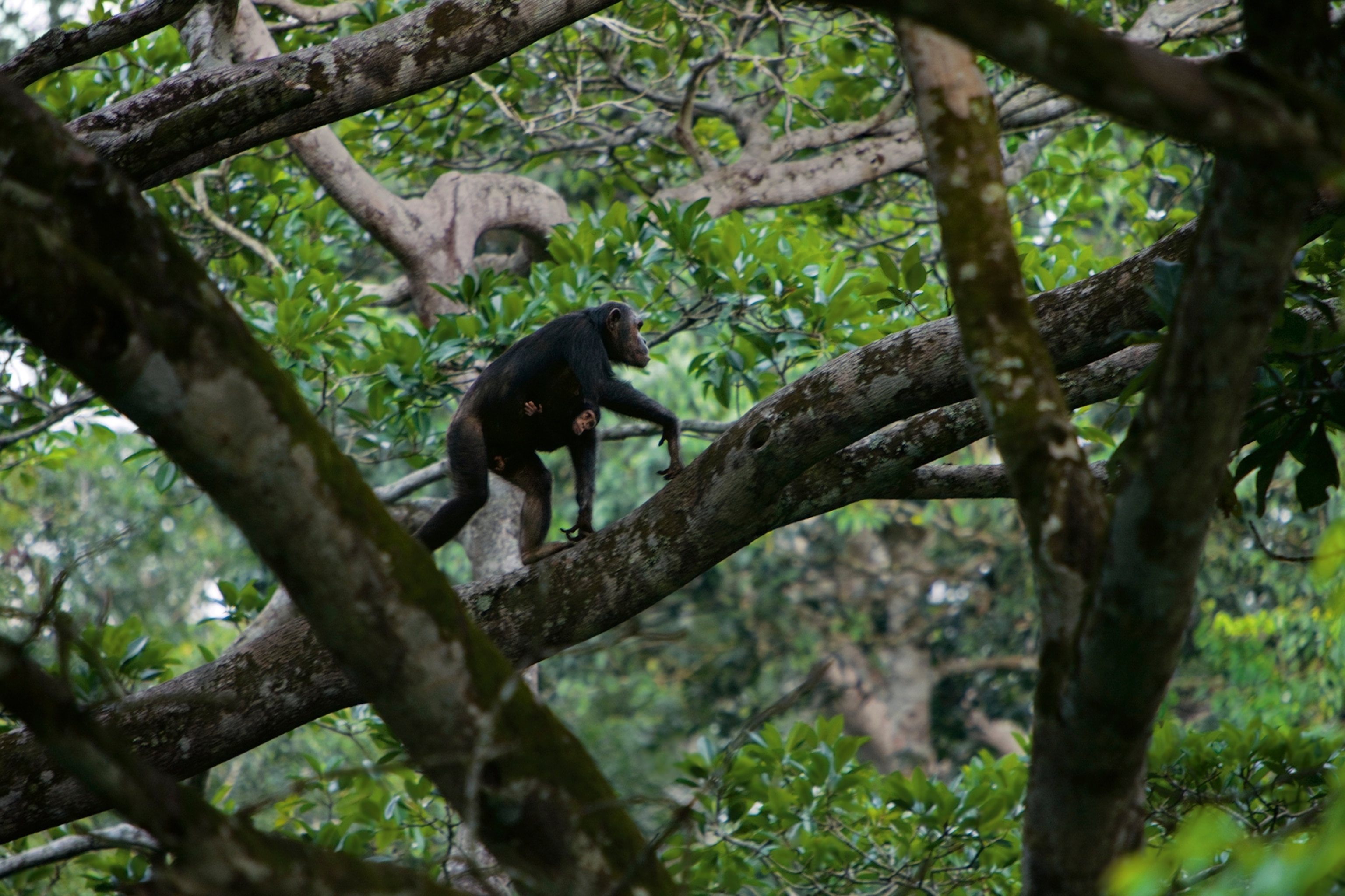 Mother and Infant