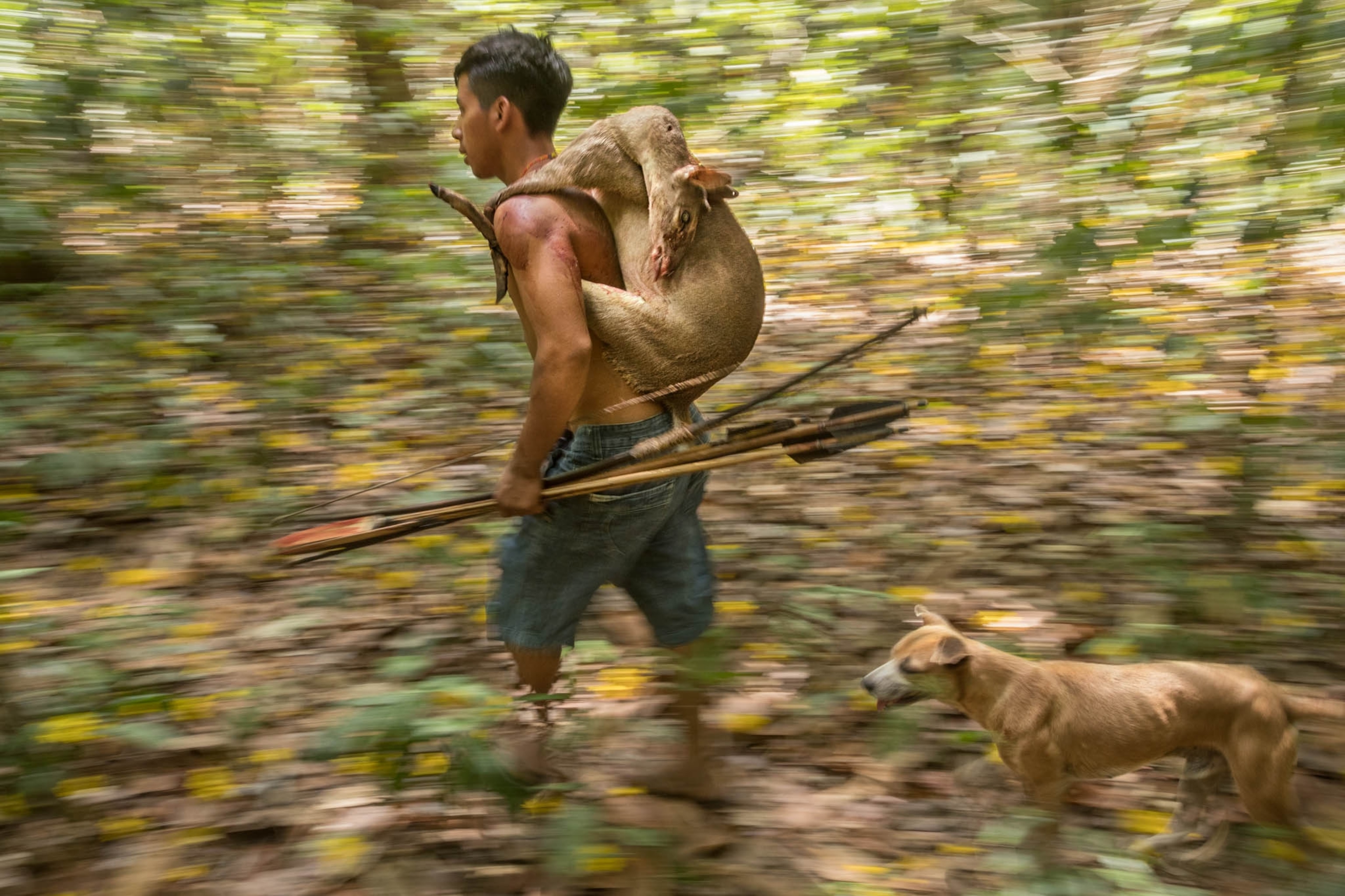 a young man with arrows walking through a forest with a deer on his back with a dog