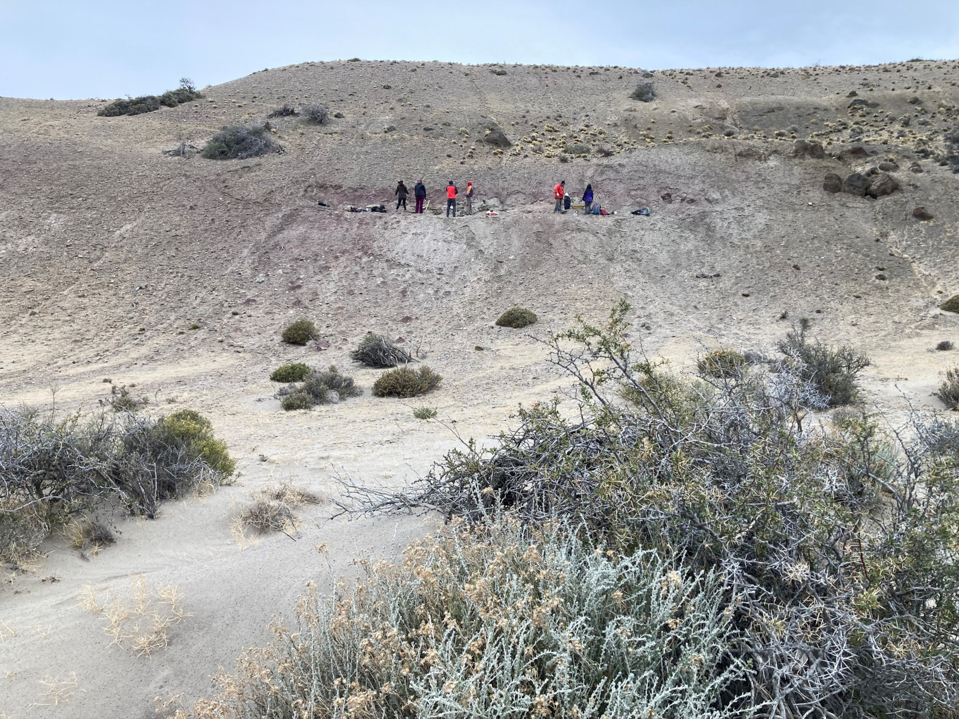 Excavation team members seen from a distance at the CTQ site, which is relatively barren and rocky.