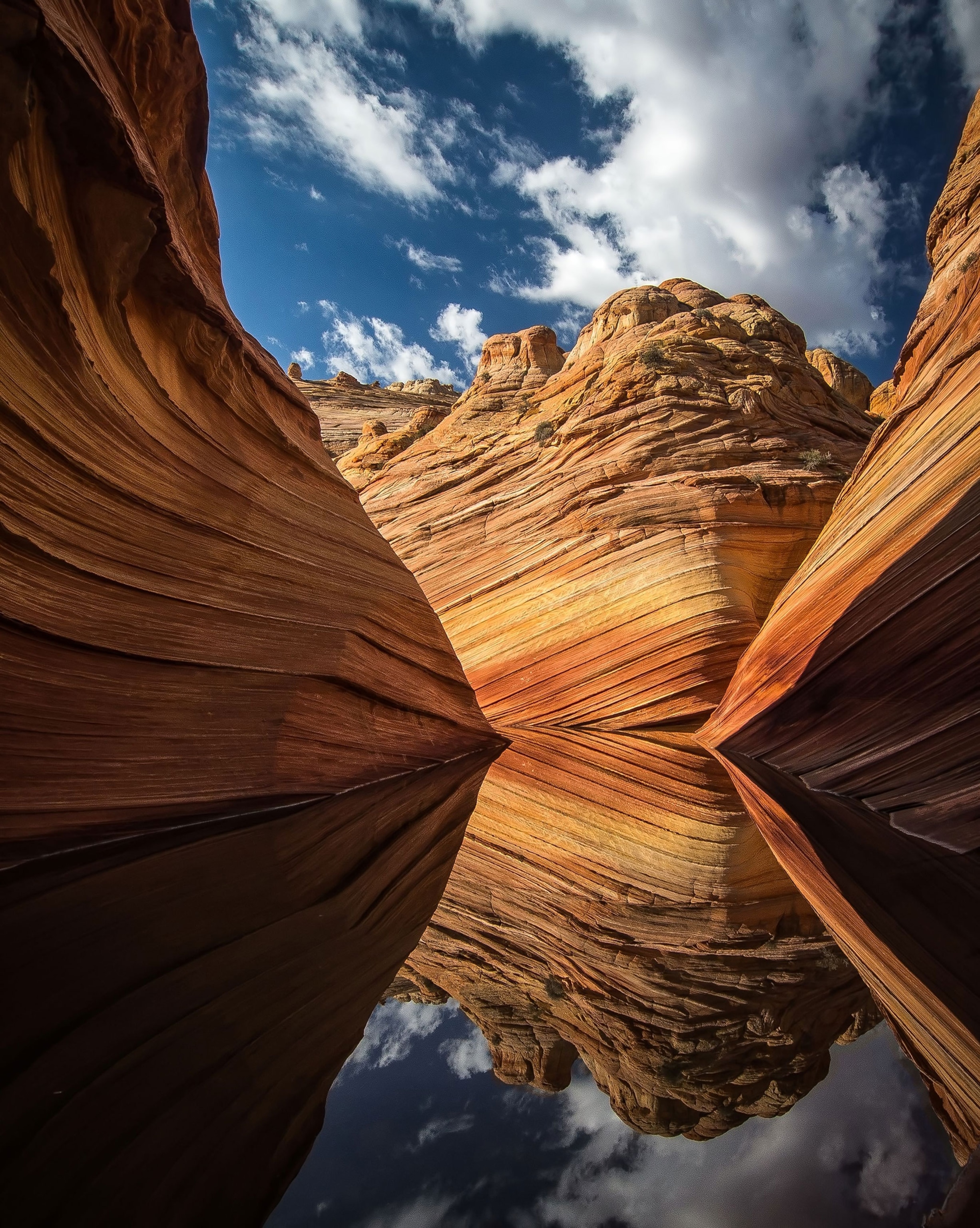 The Wave in Arizona