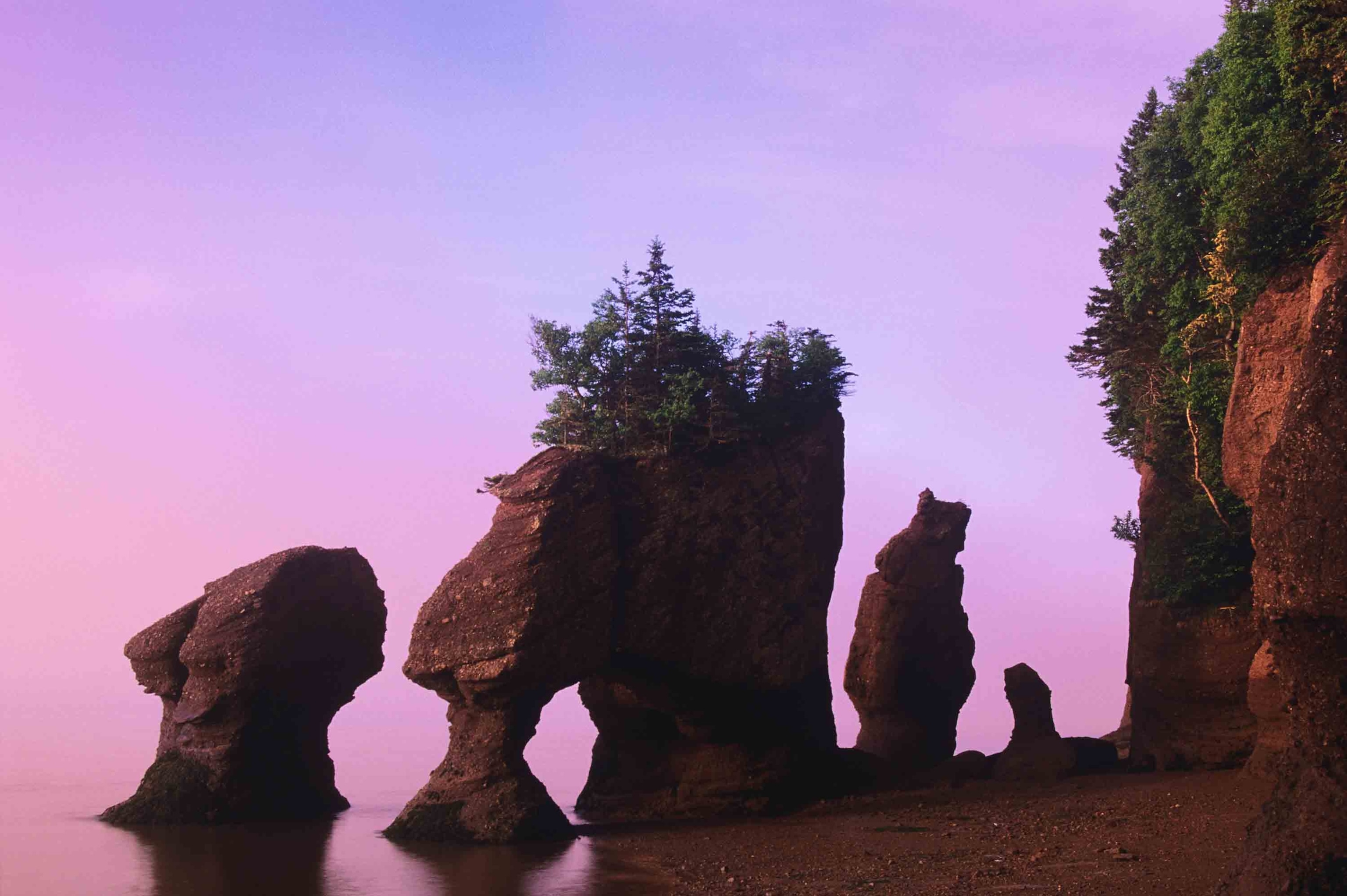 Hopewell Rocks at dawn on Hopewell Cape, New Brunswick, Canada