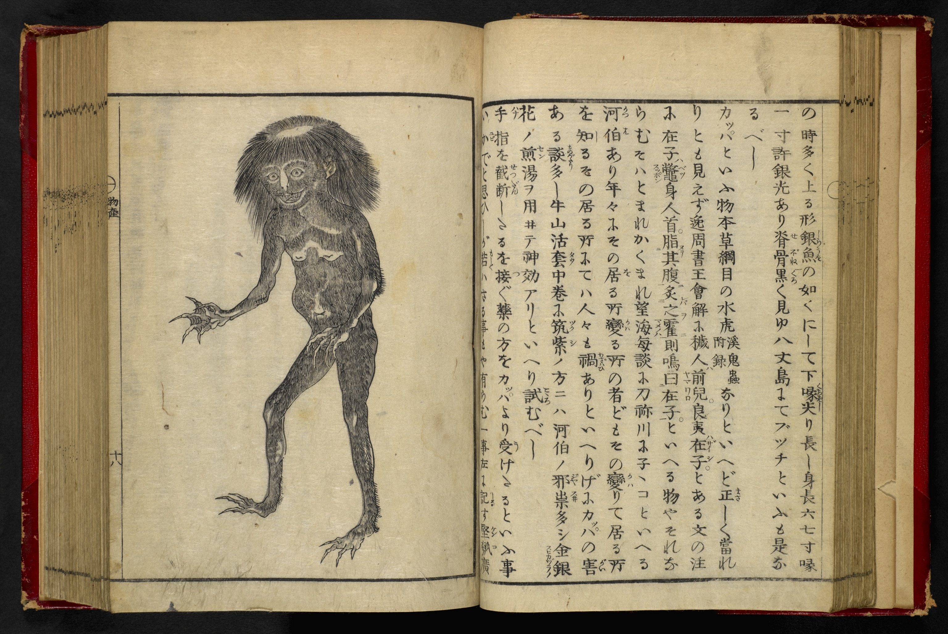 A illustration of a a kappa in a book.