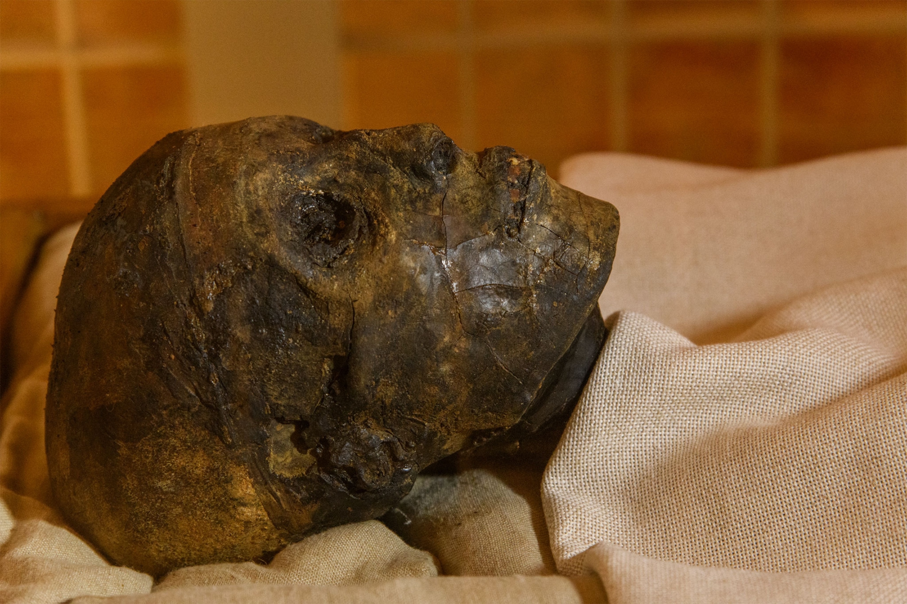 scanning in King Tut's tomb in Egypt